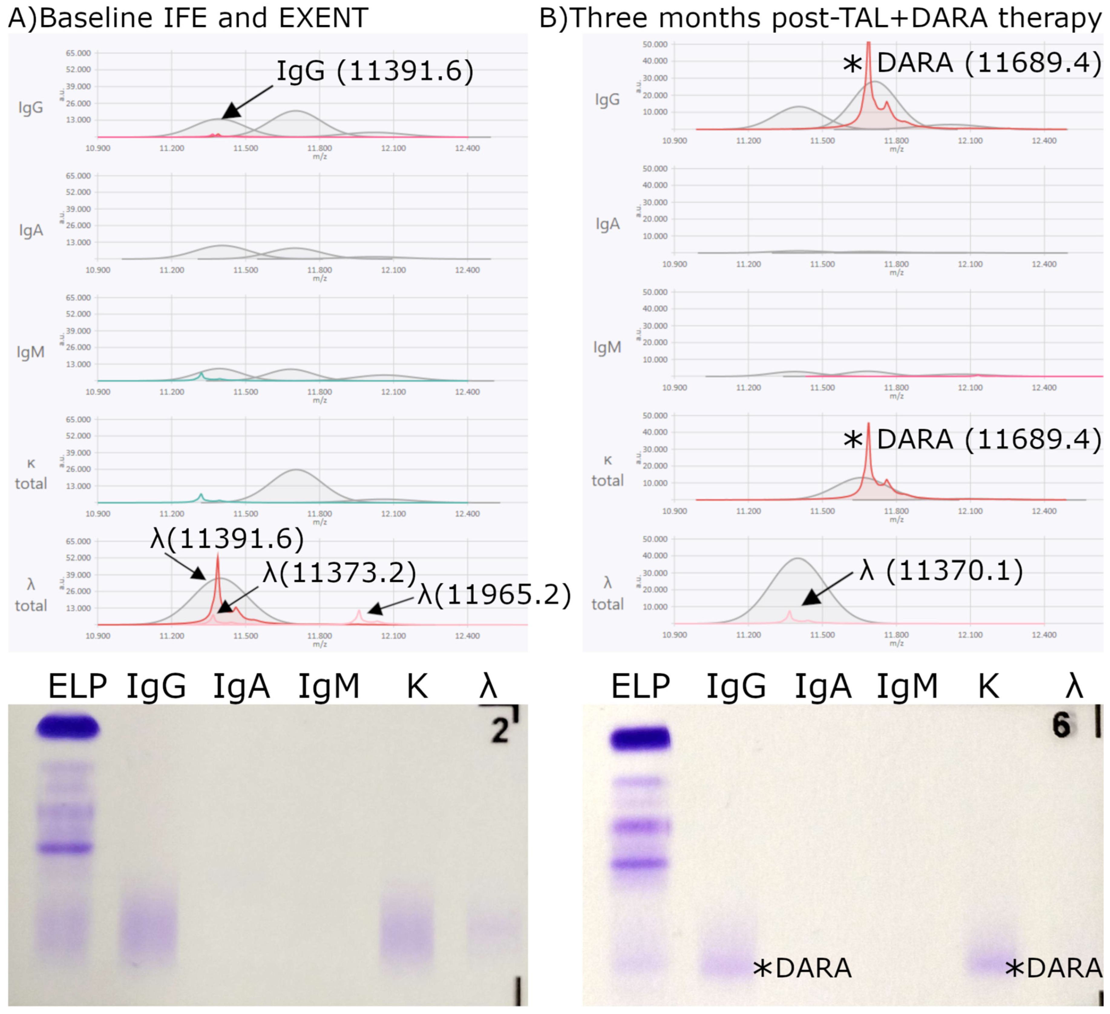 Biomedicines 13 02933 g006