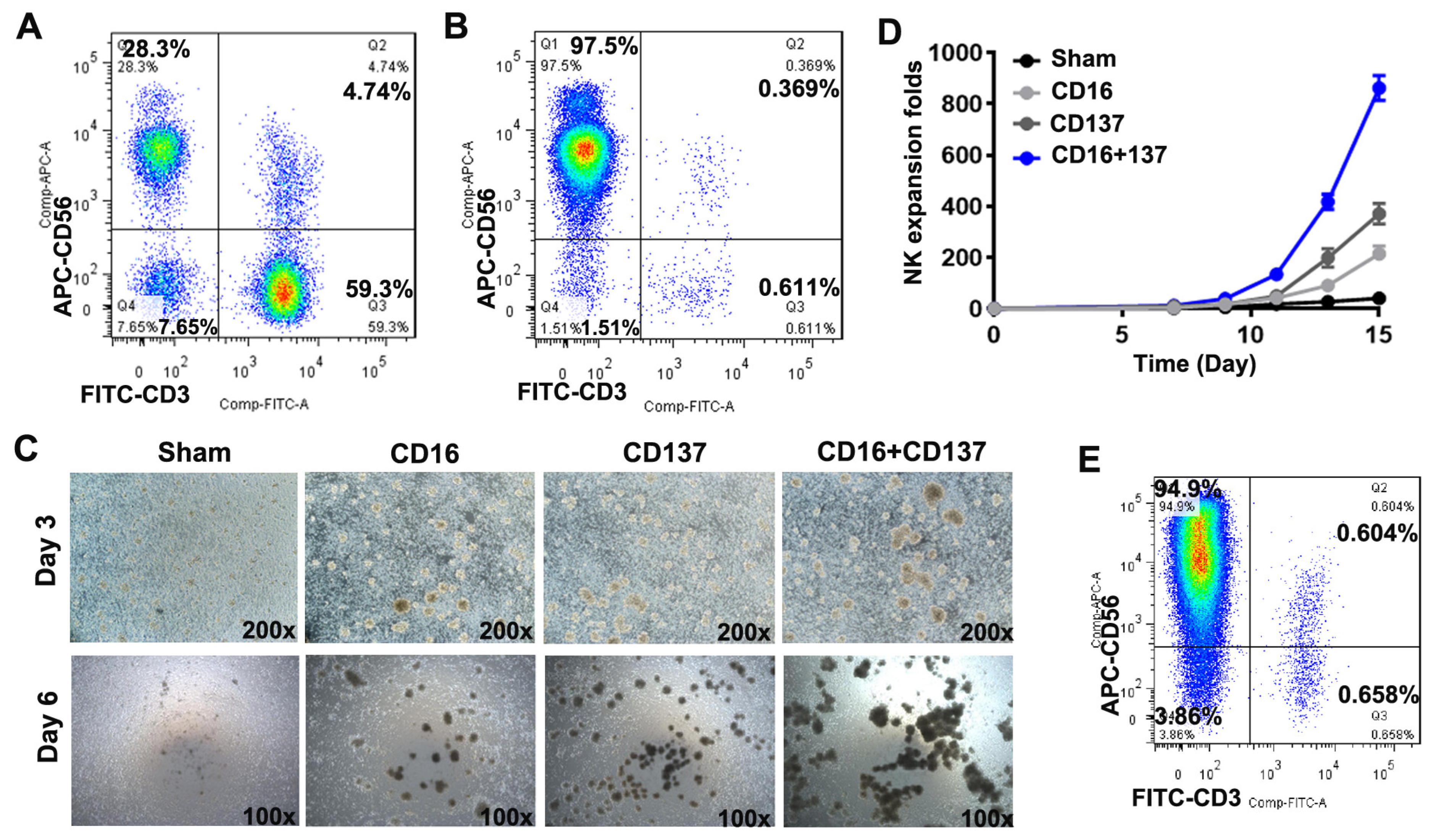 Biomedicines 13 02934 g001