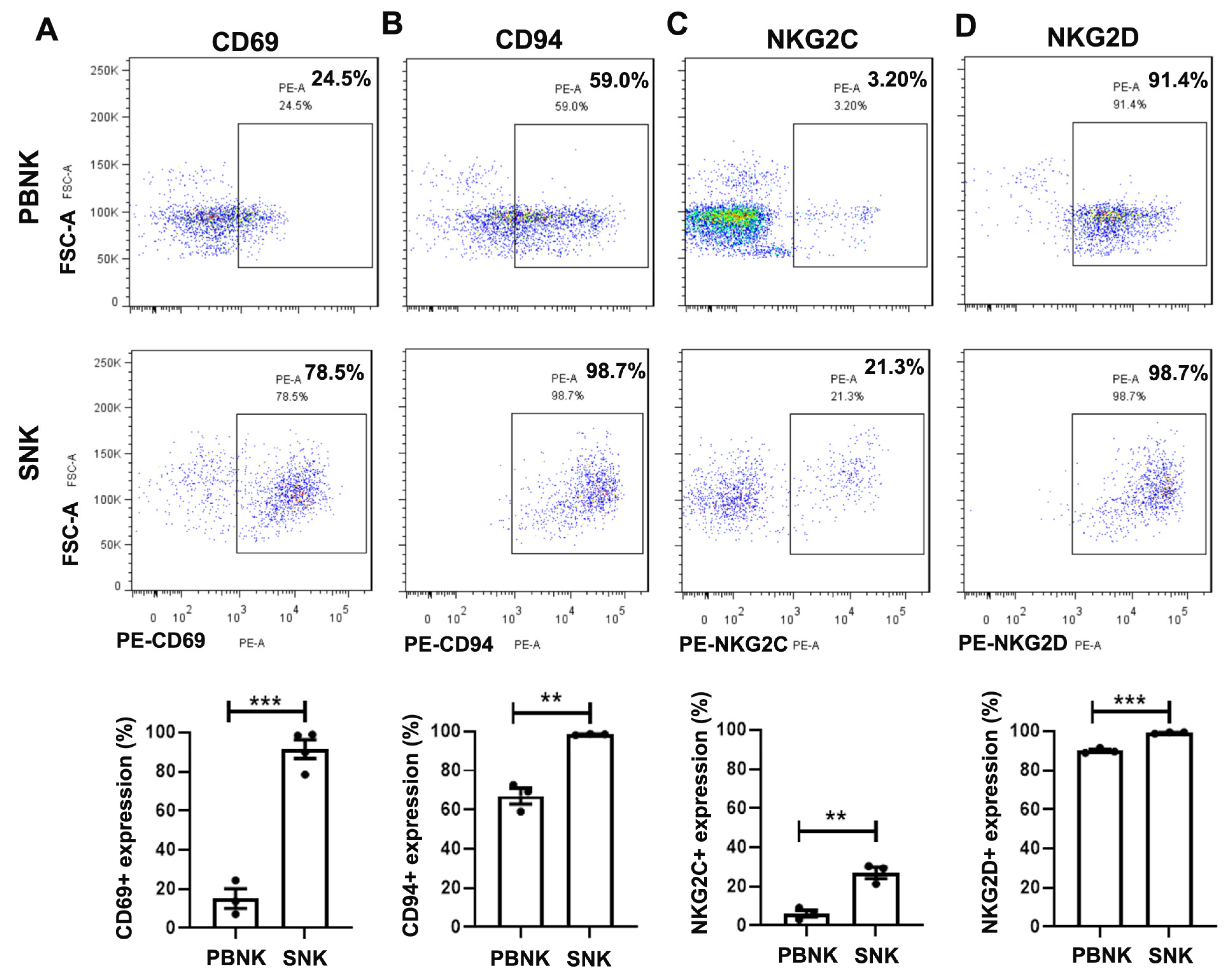Biomedicines 13 02934 g002
