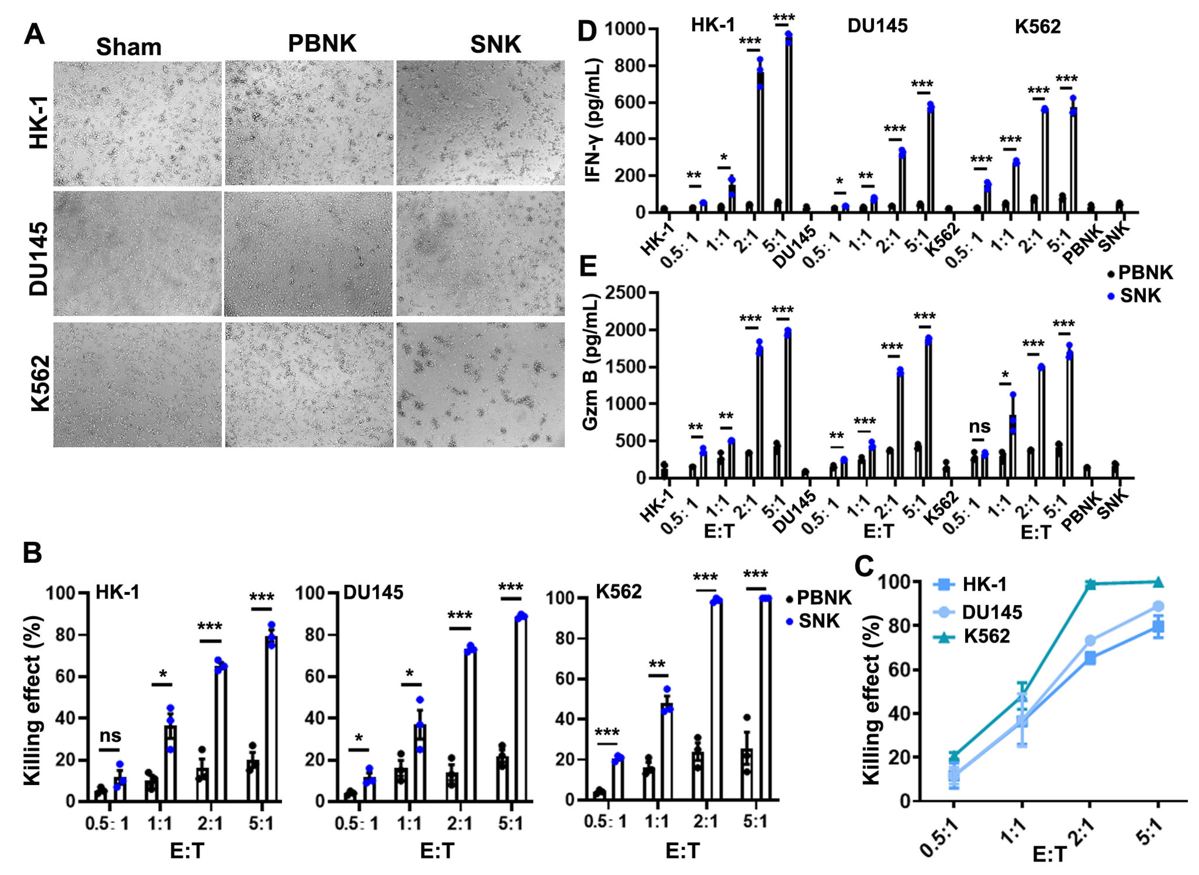 Biomedicines 13 02934 g003