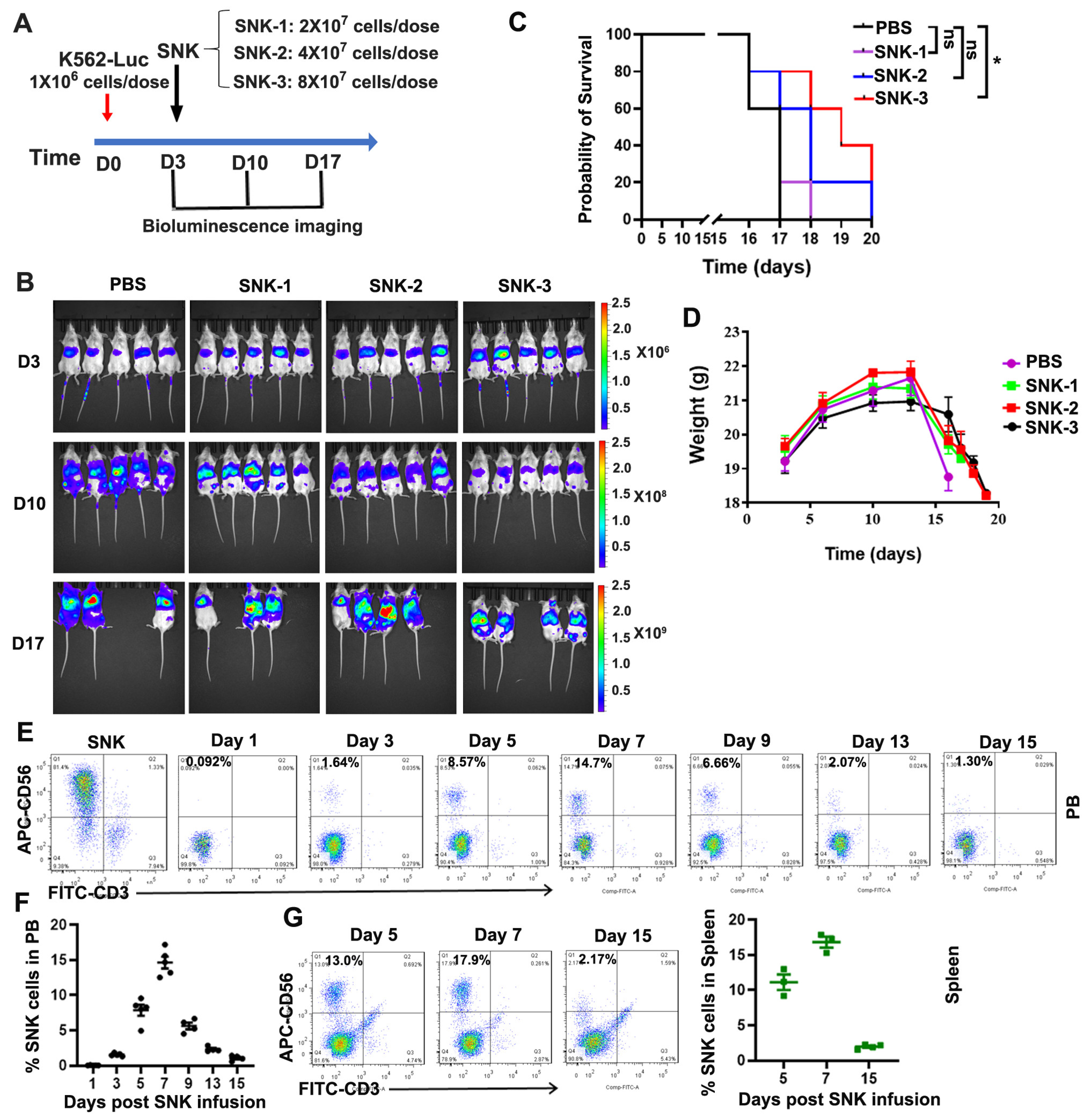 Biomedicines 13 02934 g004