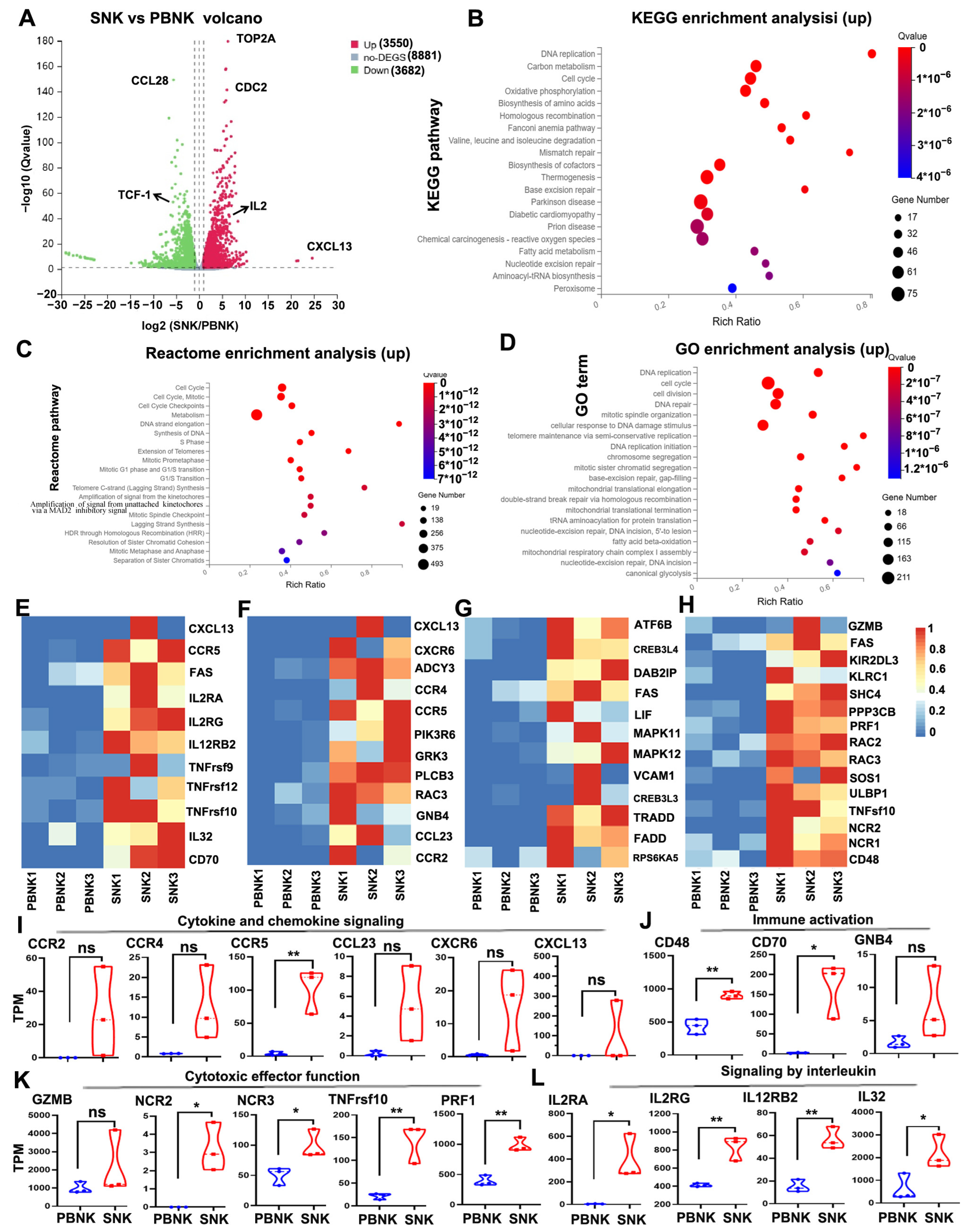 Biomedicines 13 02934 g005