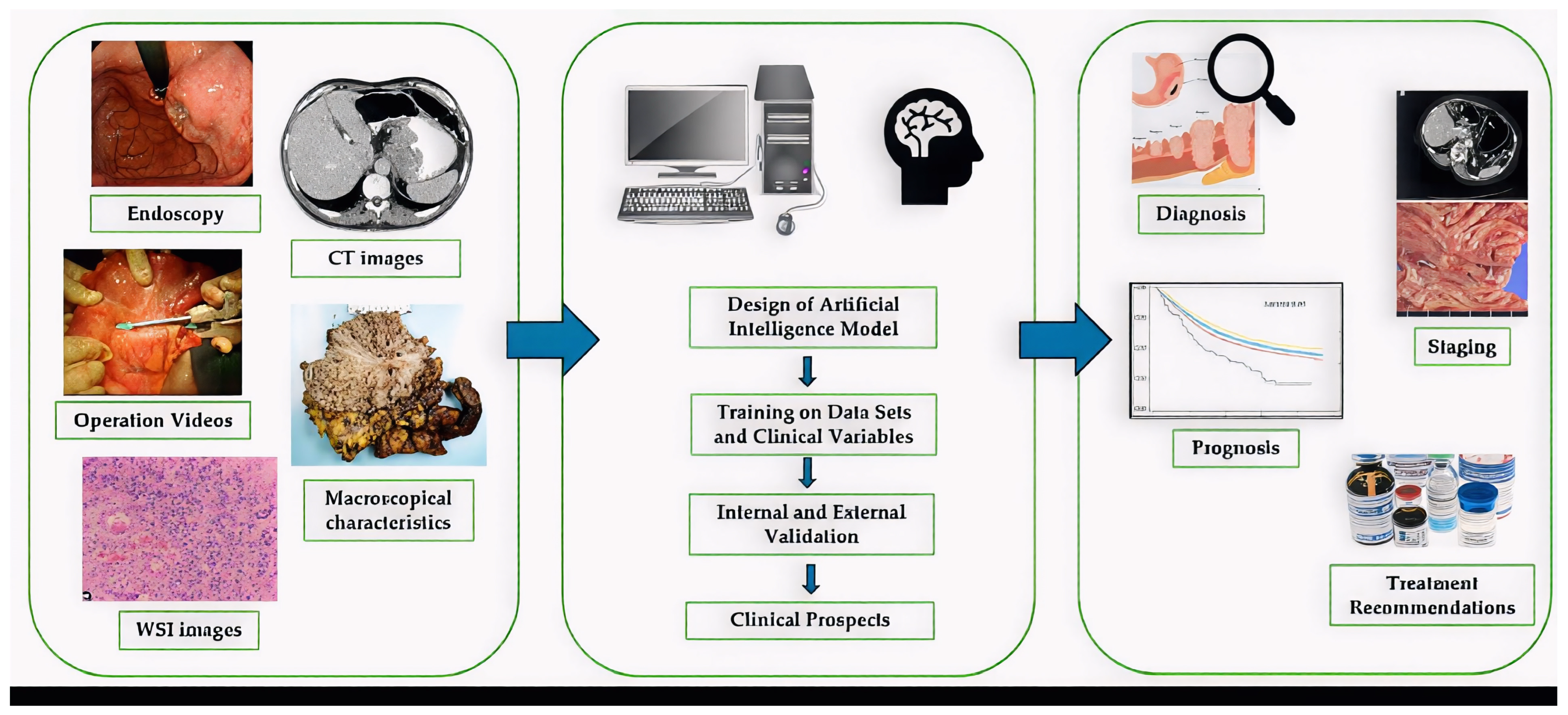 Biomedicines 13 02939 g002