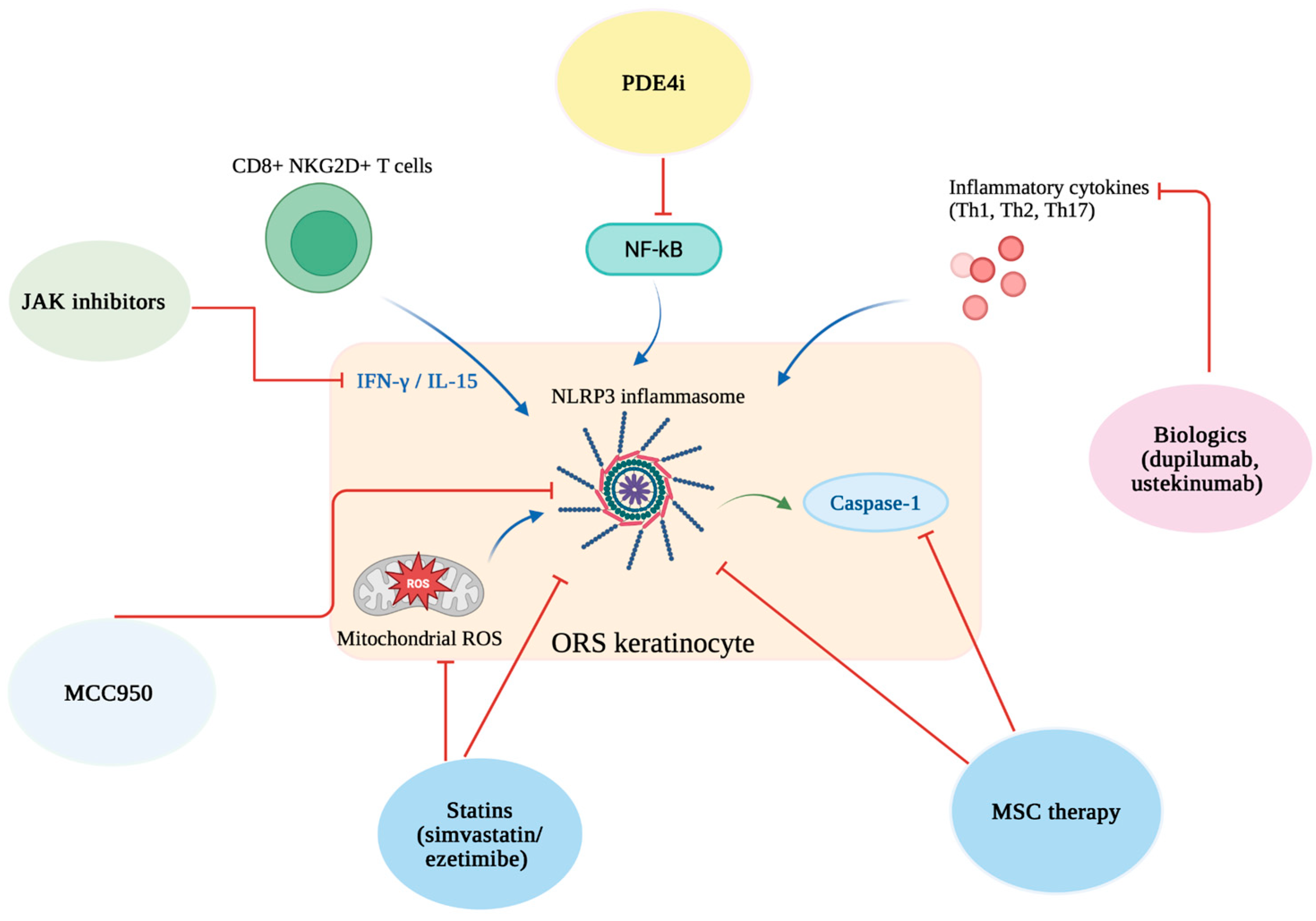 Biomedicines 13 02940 g002