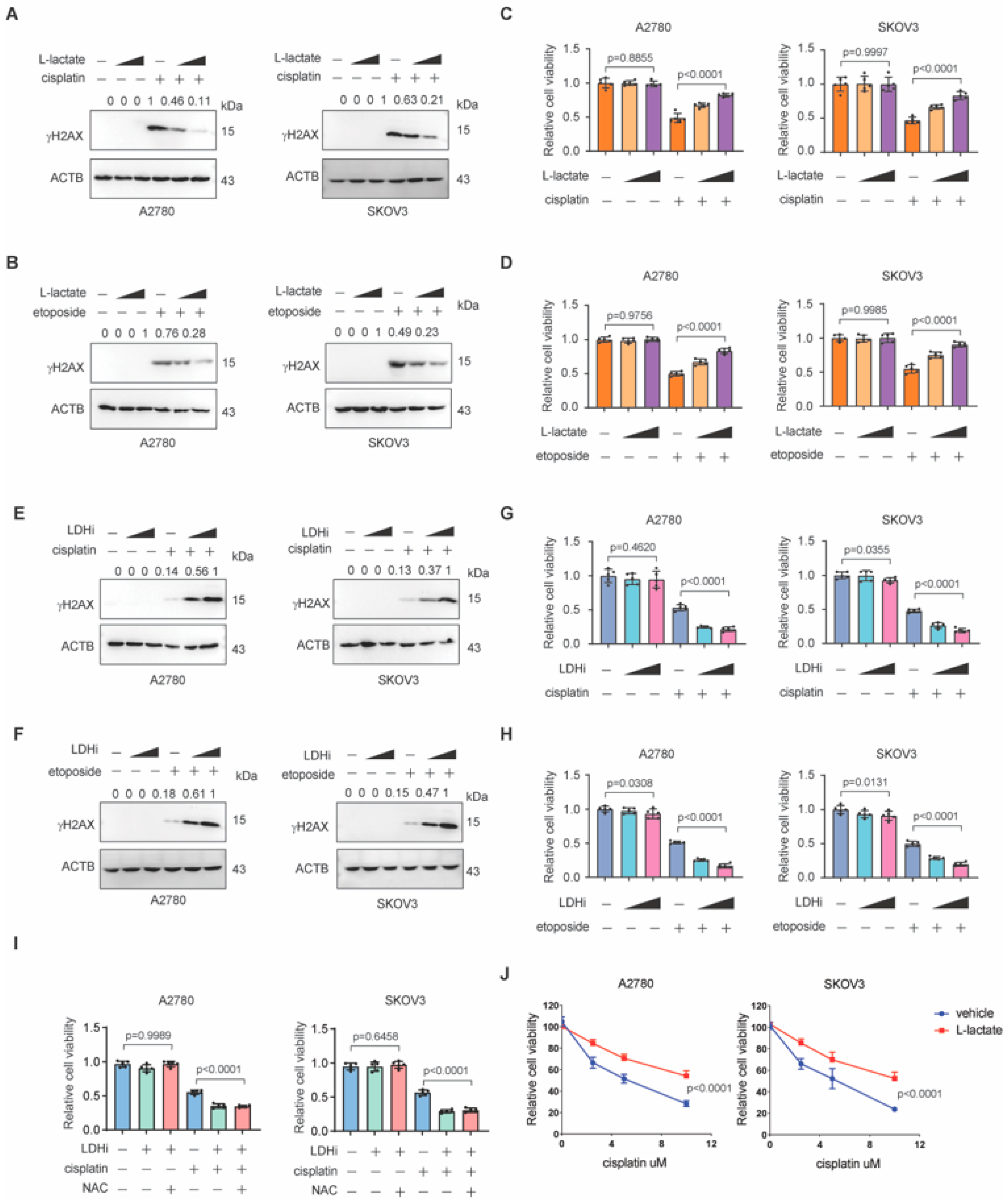 Biomedicines 13 02949 g002