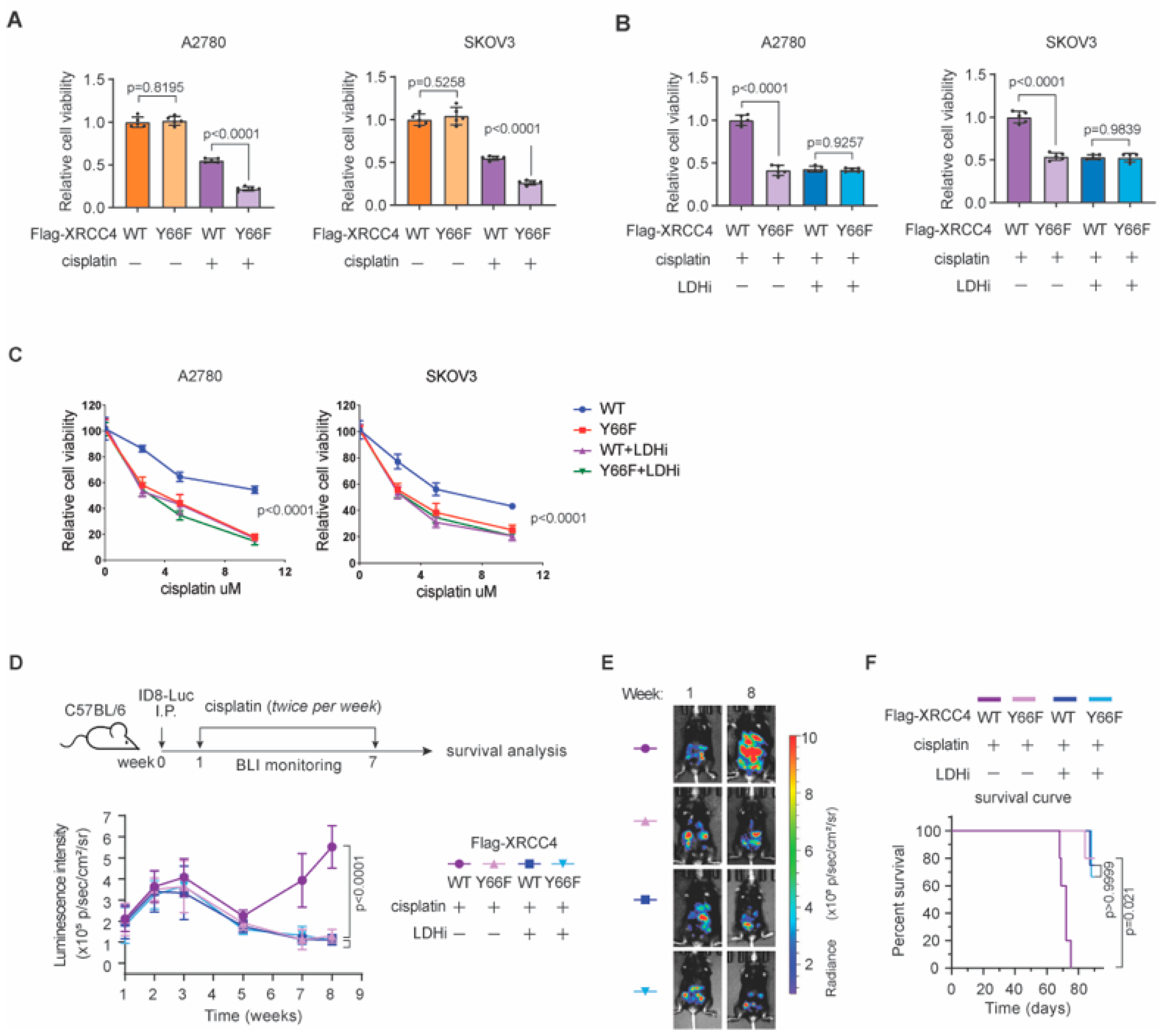 Biomedicines 13 02949 g006