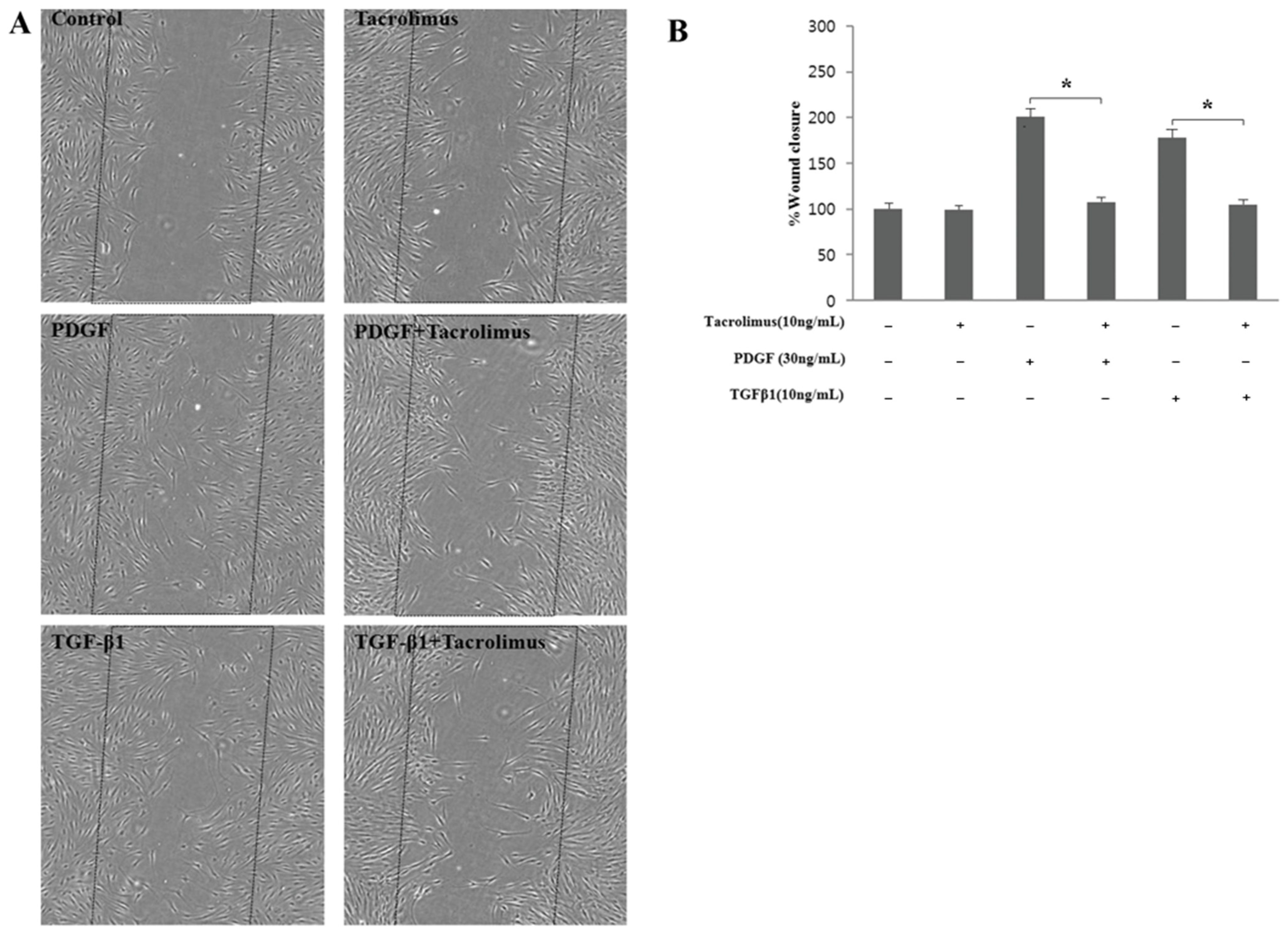 Biomedicines 13 02956 g002