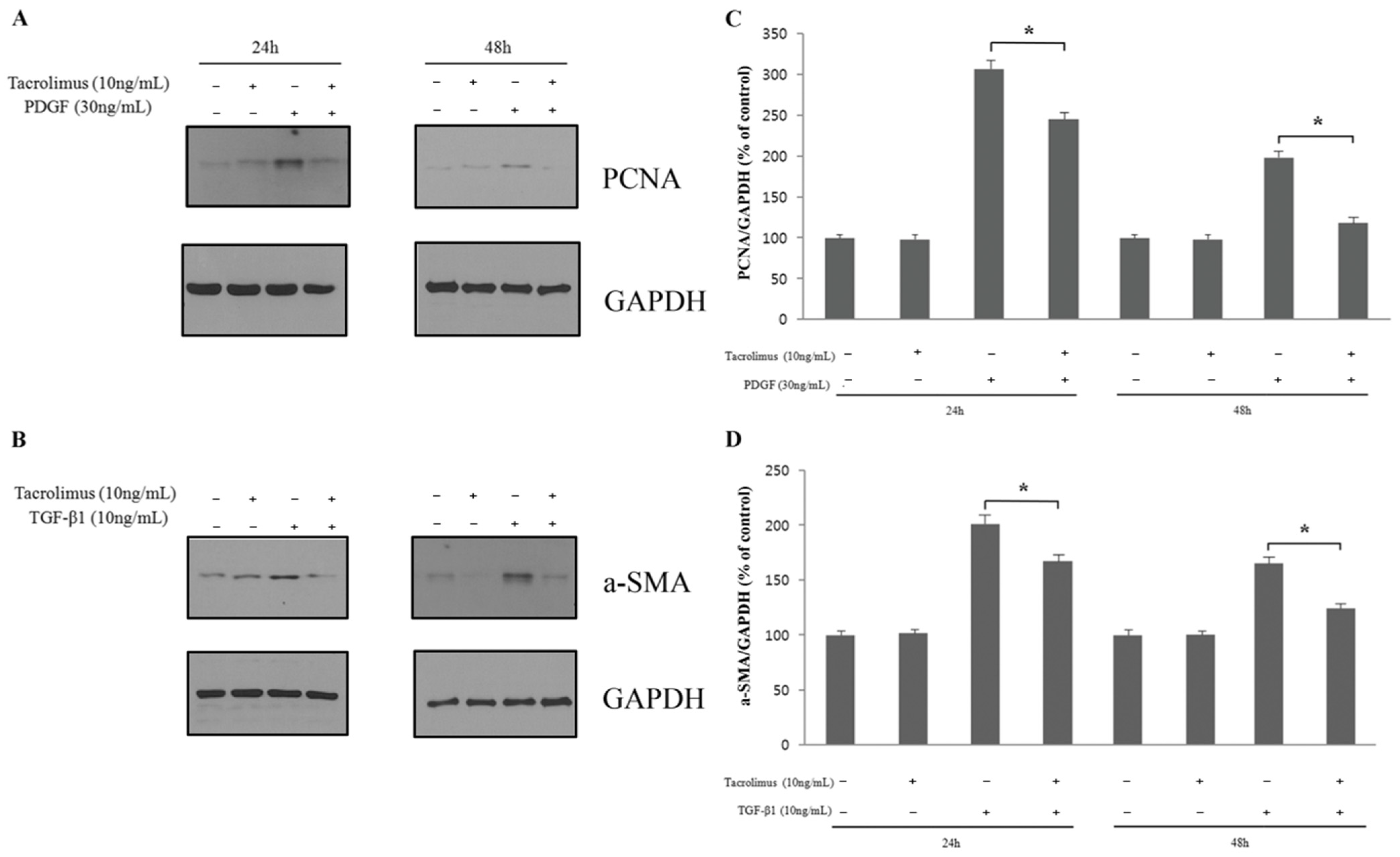 Biomedicines 13 02956 g003