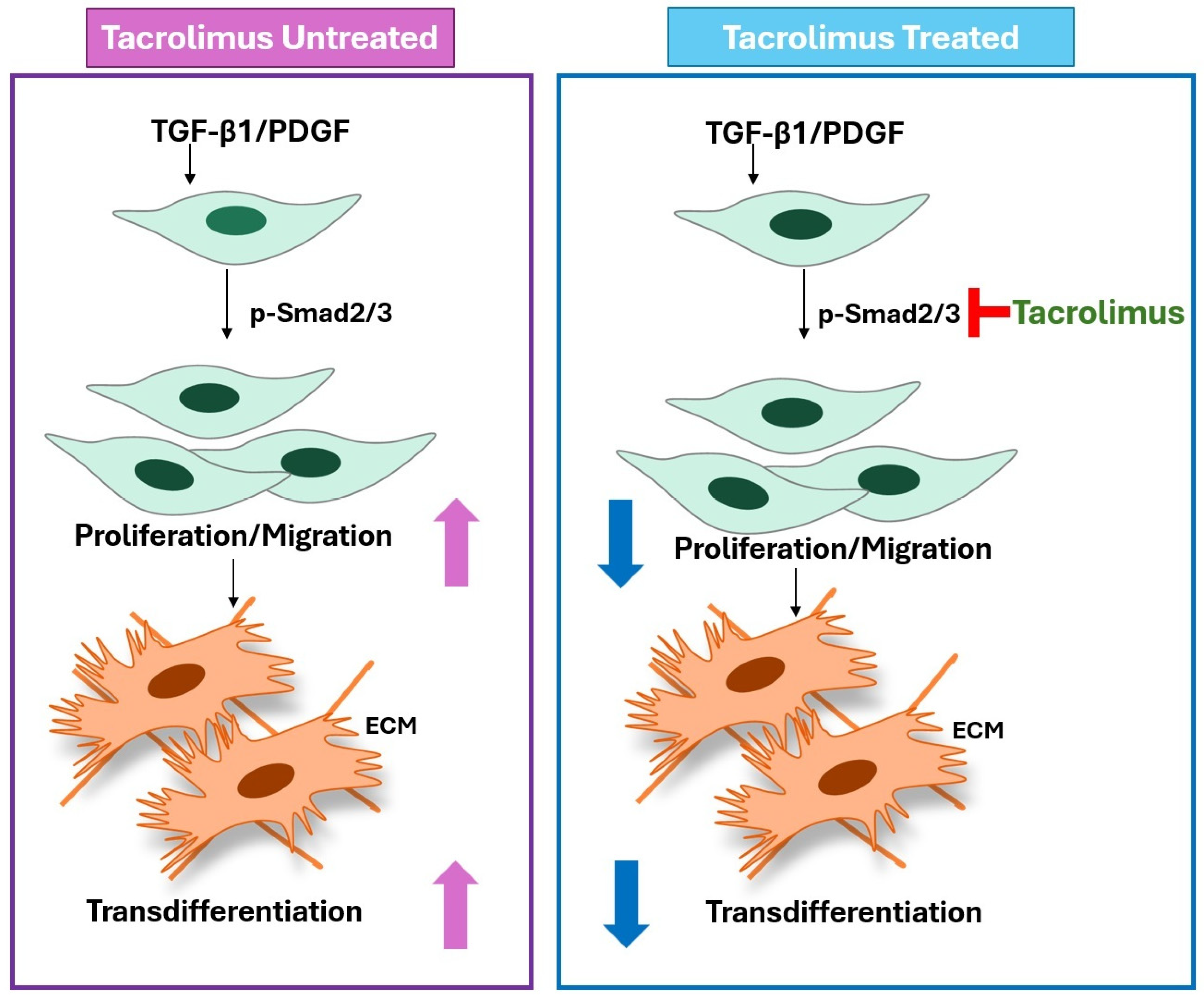 Biomedicines 13 02956 g005