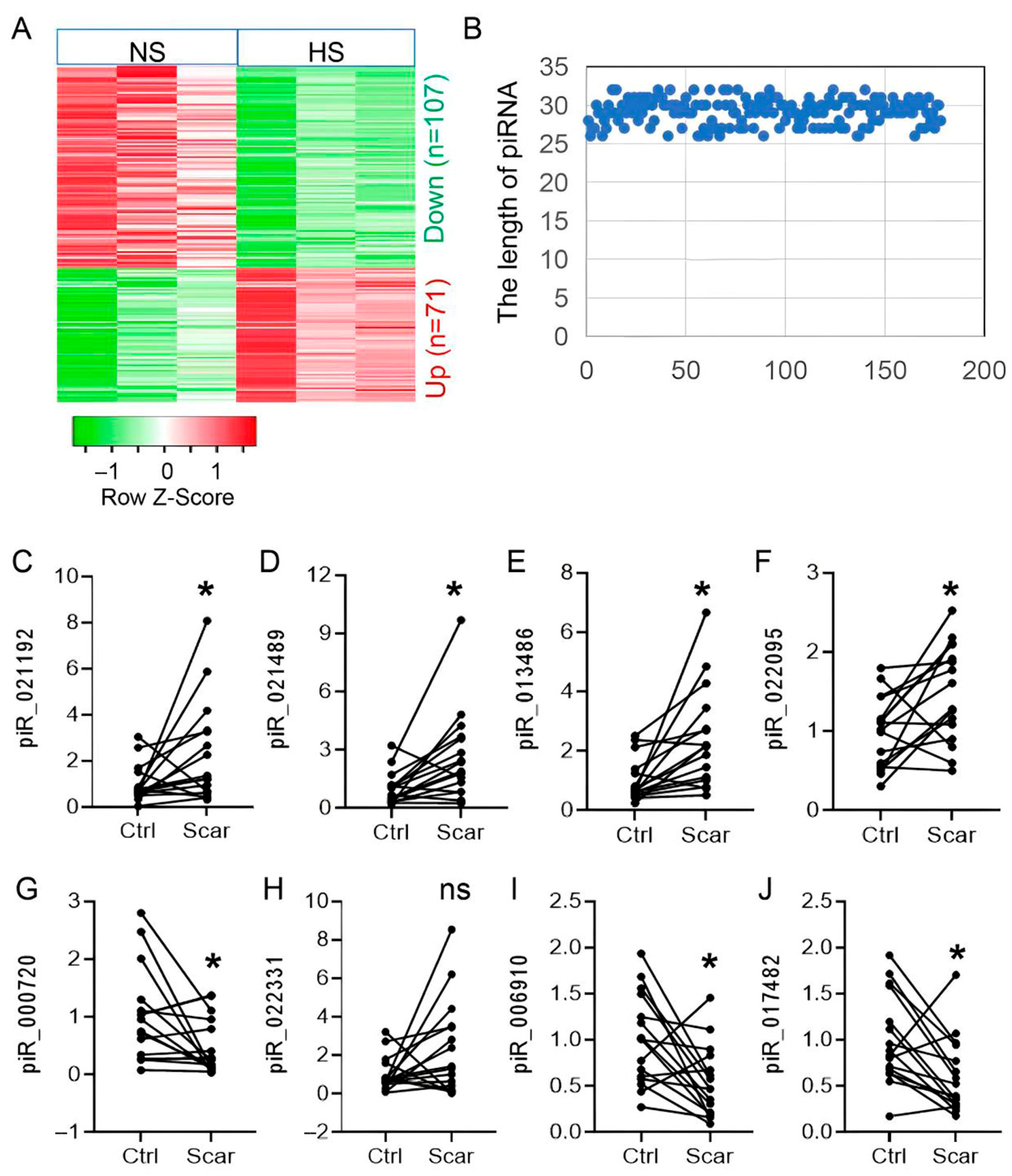 Biomedicines 13 02963 g001 Biomedicines 13 02963 g001