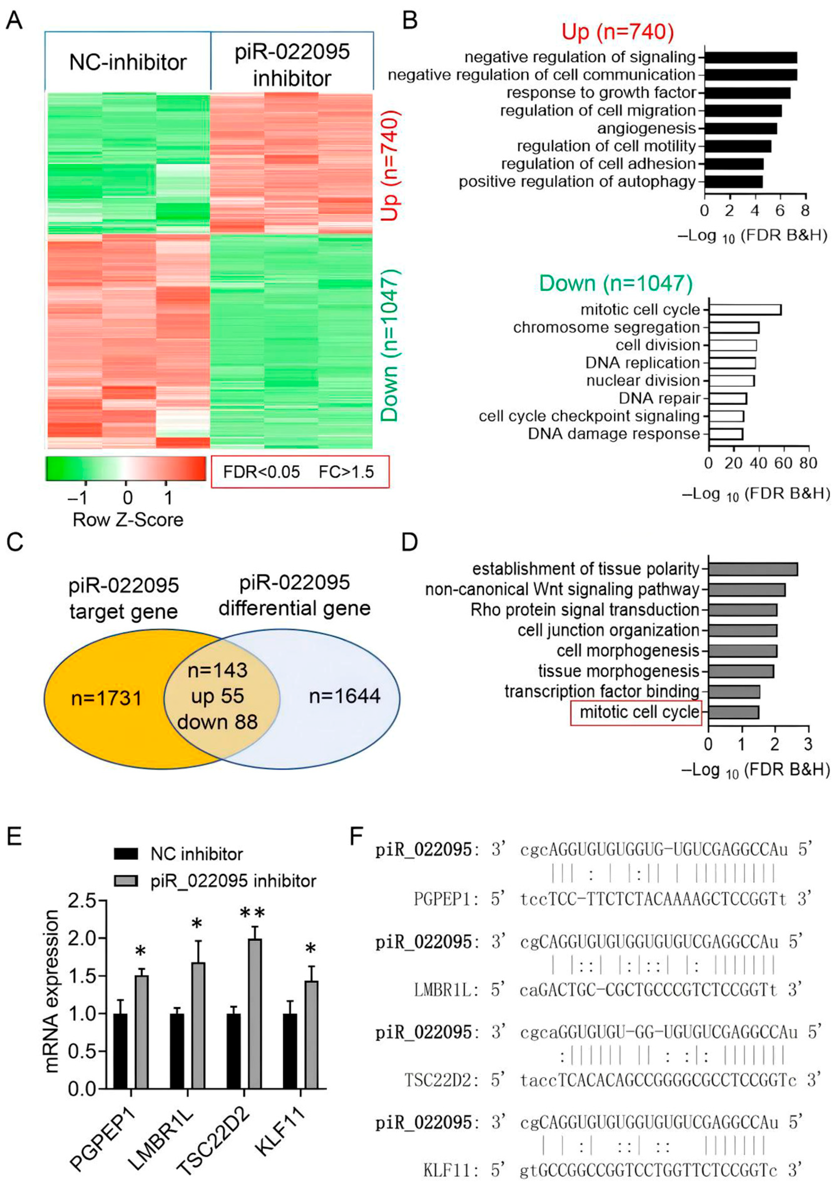 Biomedicines 13 02963 g003 Biomedicines 13 02963 g003