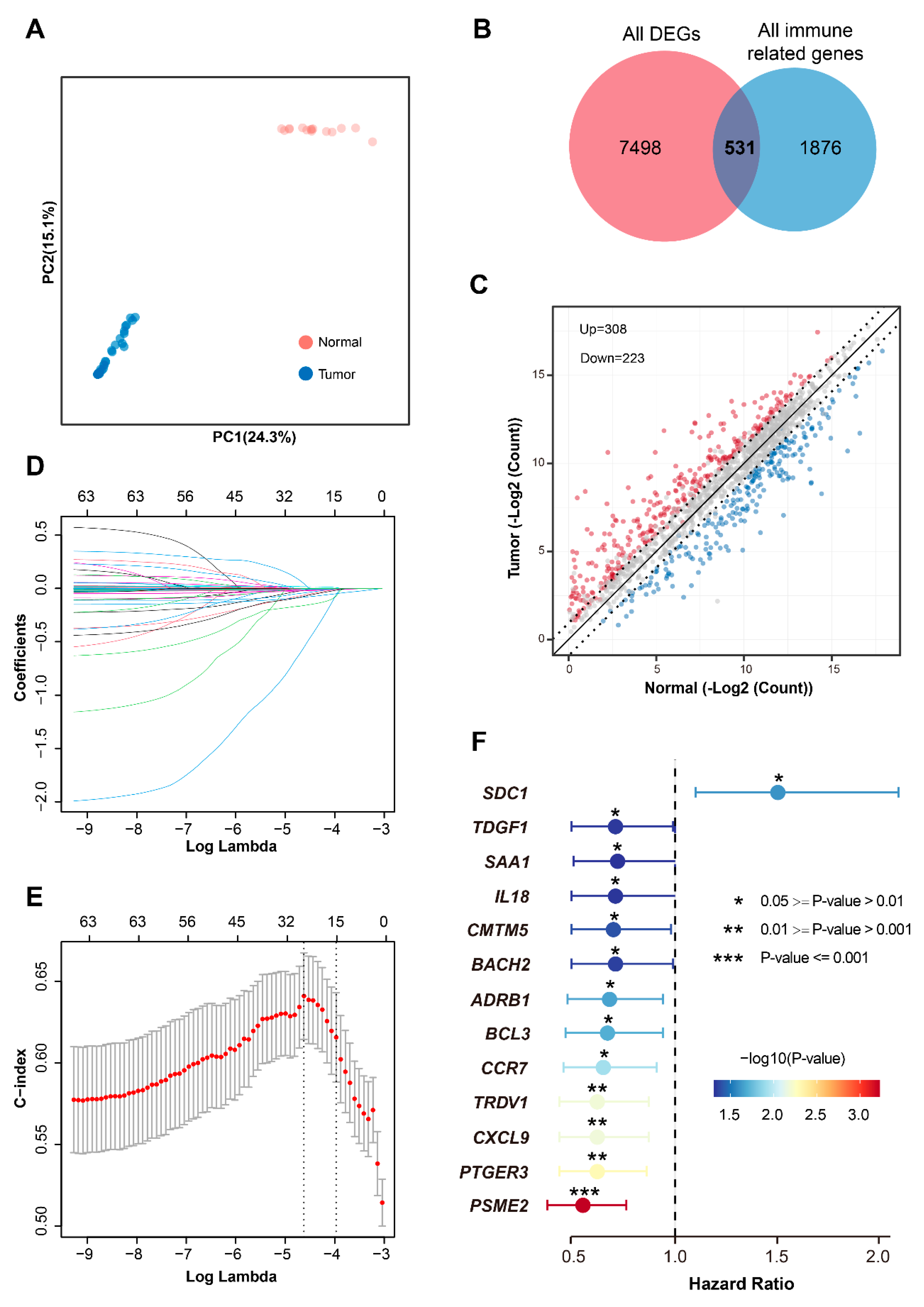 Biomedicines 13 02966 g001