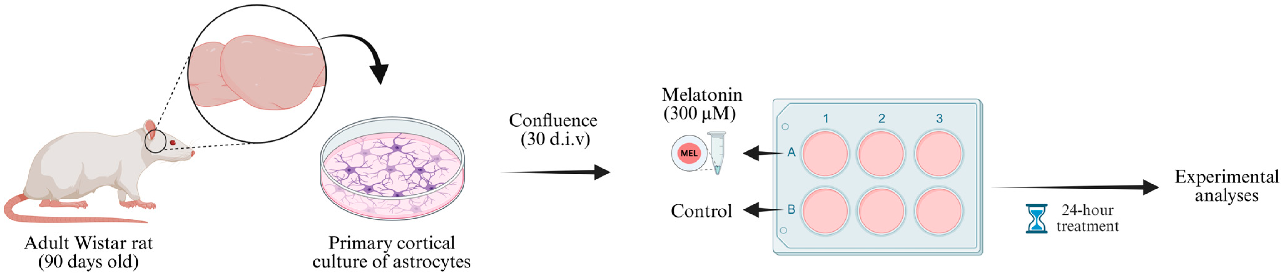 Biomedicines 13 02967 g001 Biomedicines 13 02967 g001