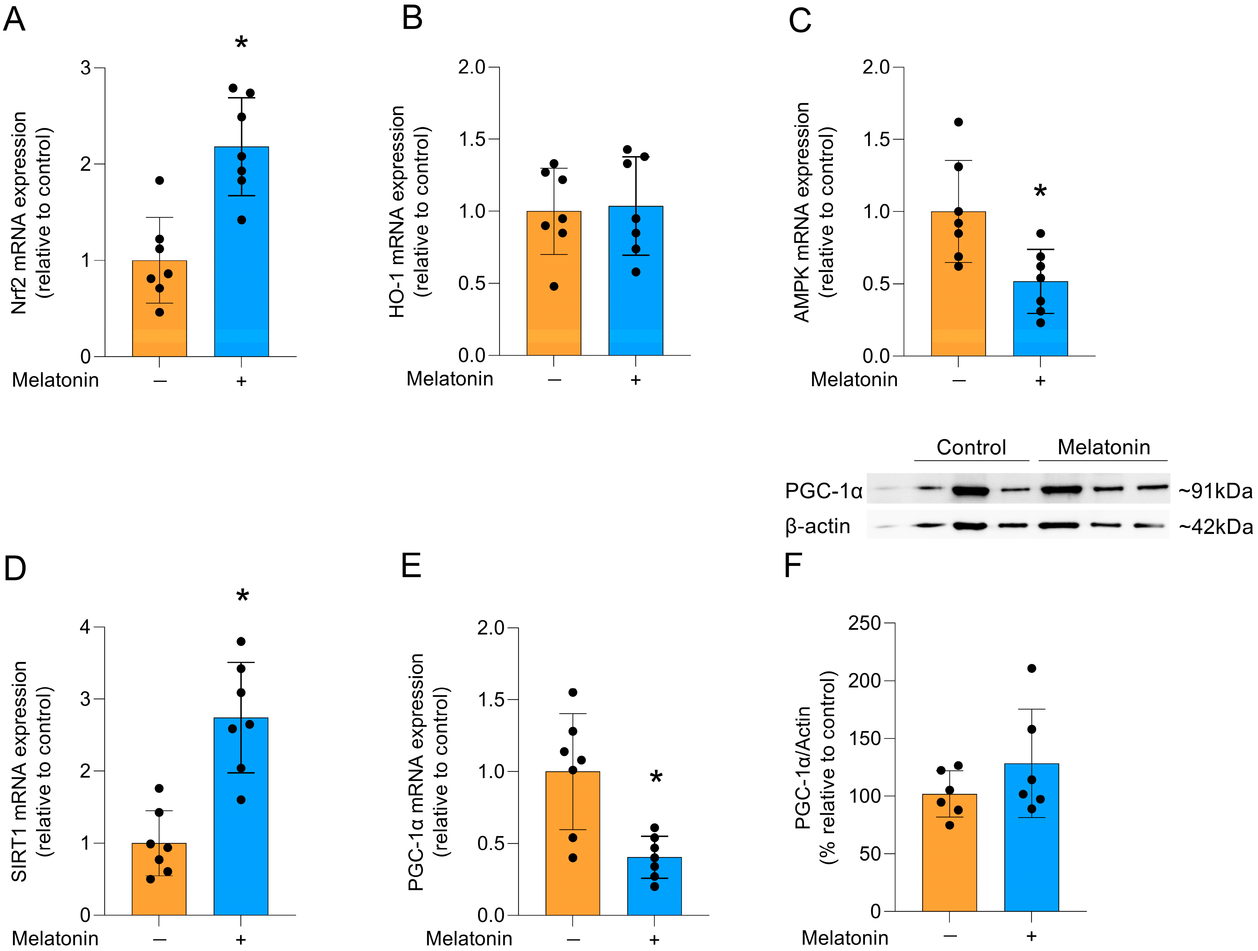 Biomedicines 13 02967 g005 Biomedicines 13 02967 g005