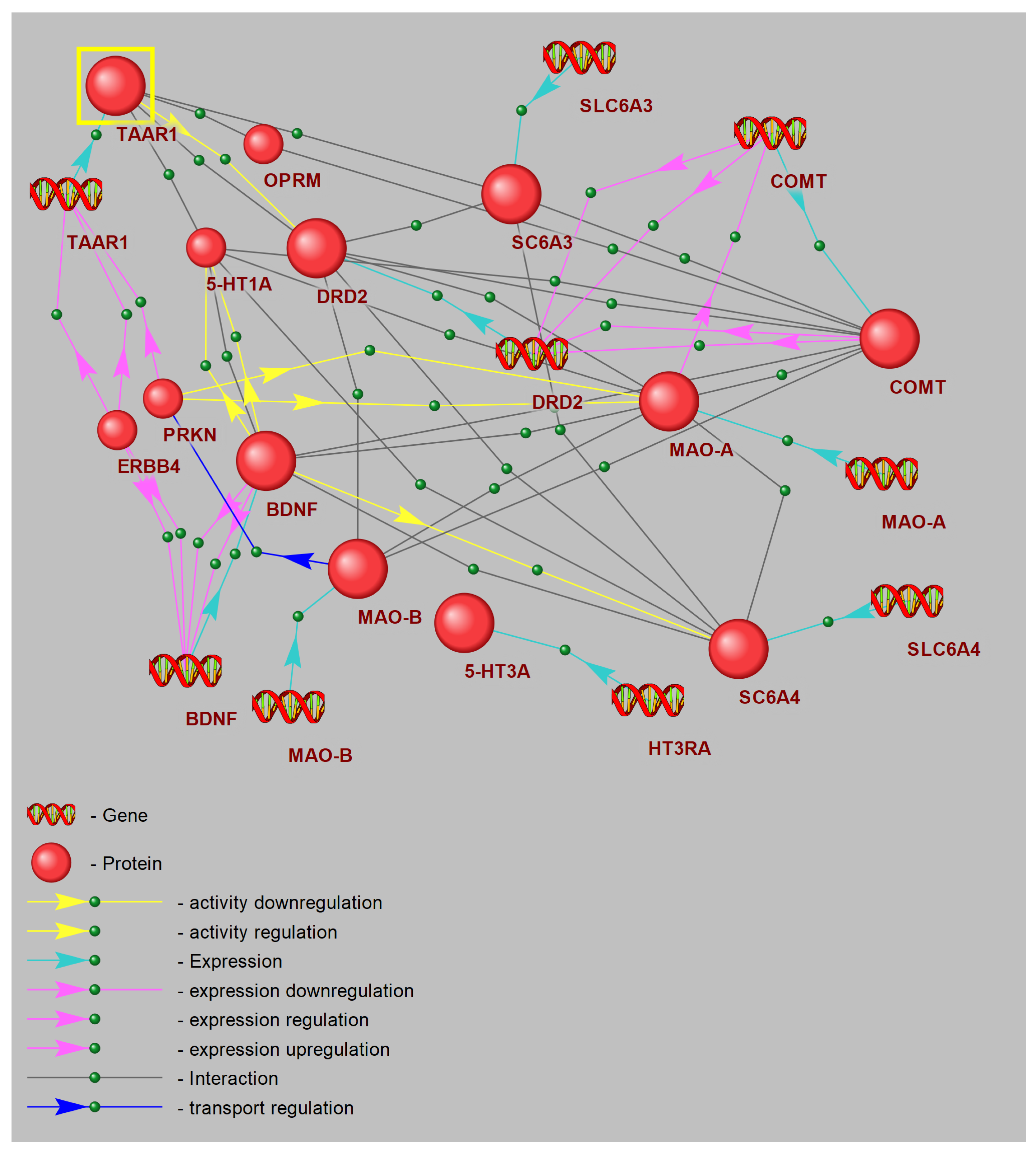 Biomedicines 13 02972 g007
