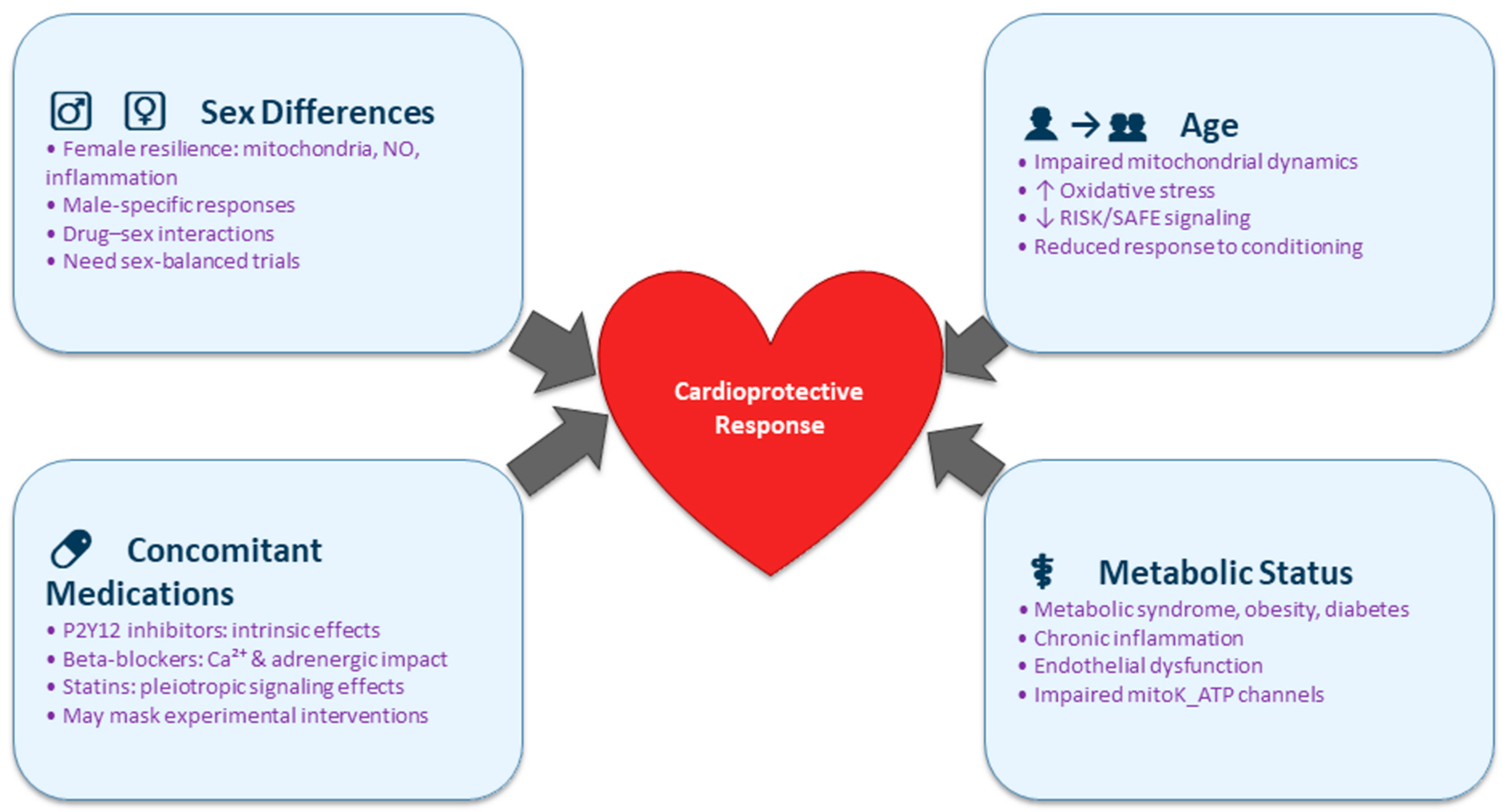 Biomedicines 13 02973 g002