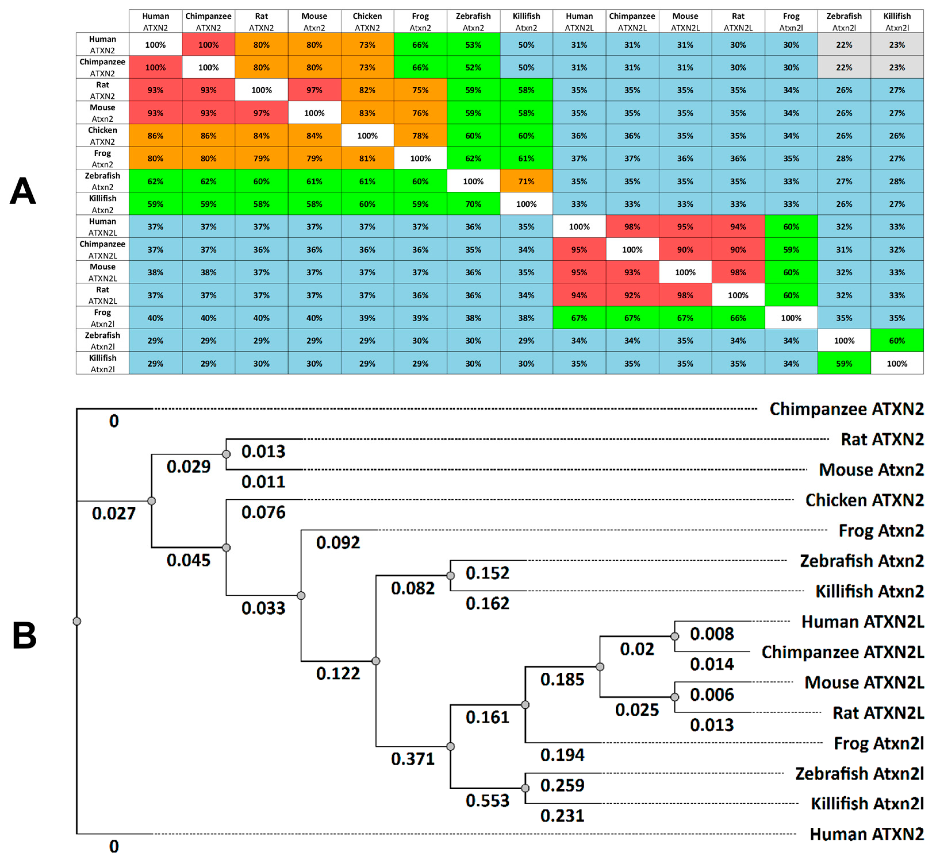Biomedicines 13 02974 g001
