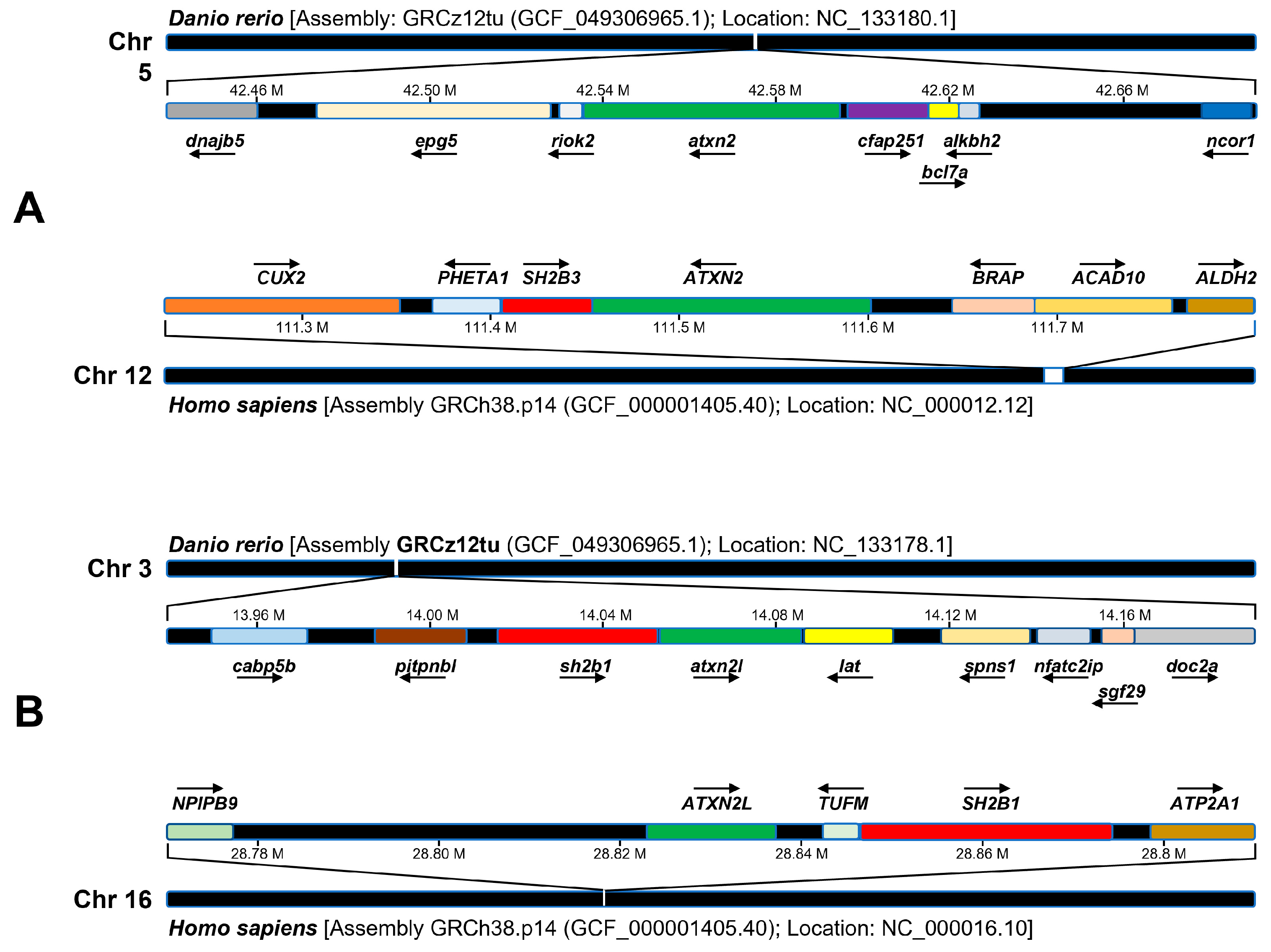 Biomedicines 13 02974 g002