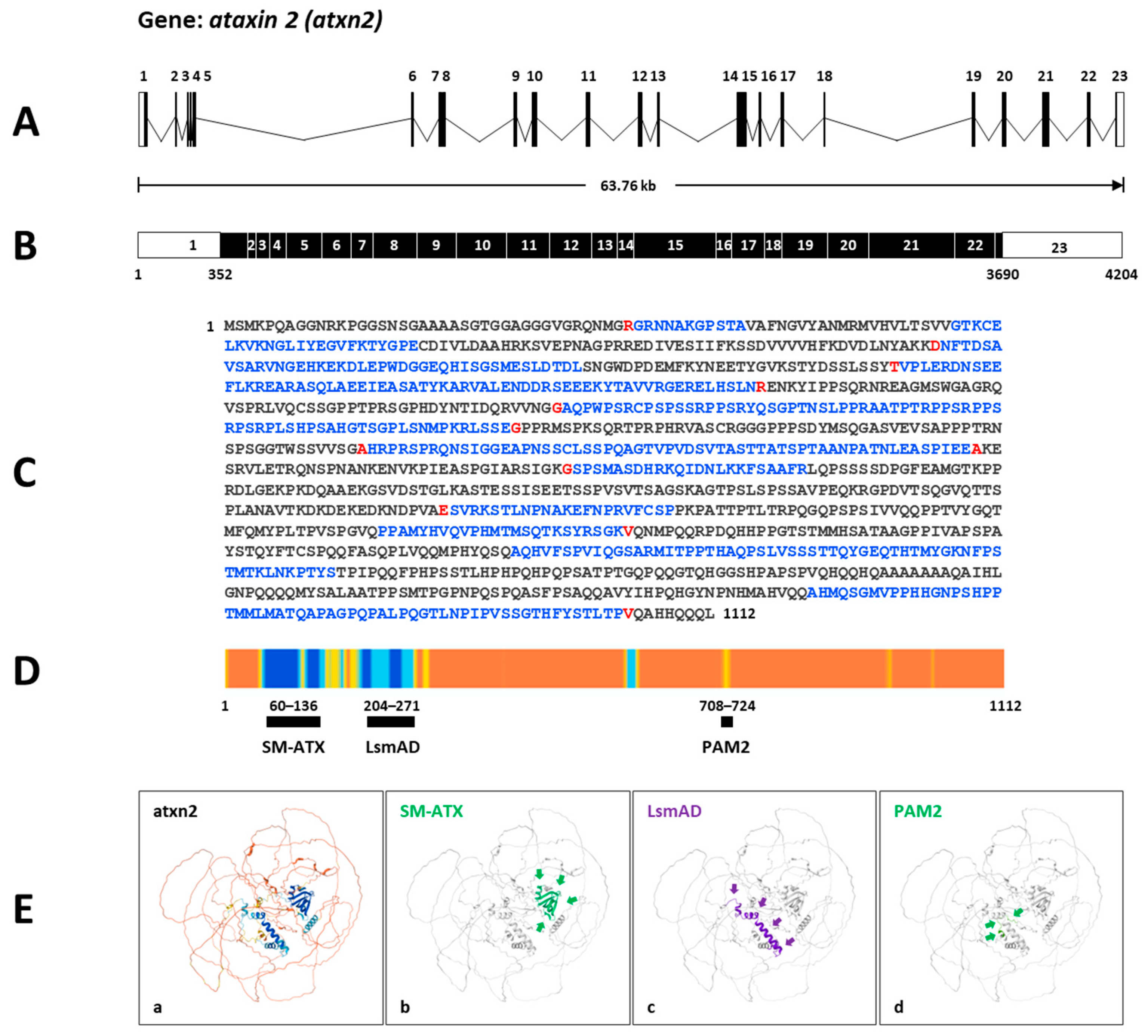 Biomedicines 13 02974 g003