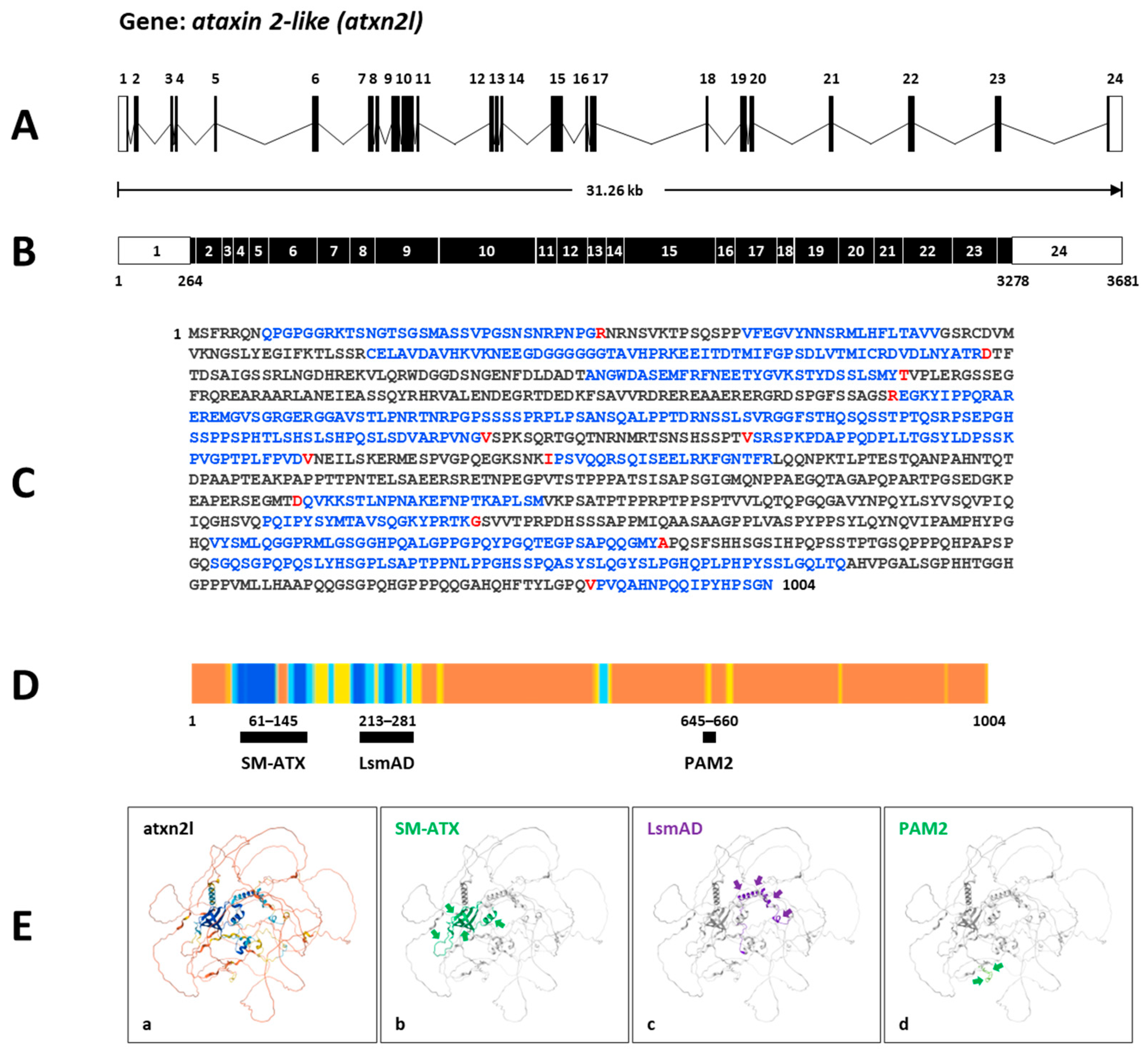 Biomedicines 13 02974 g004