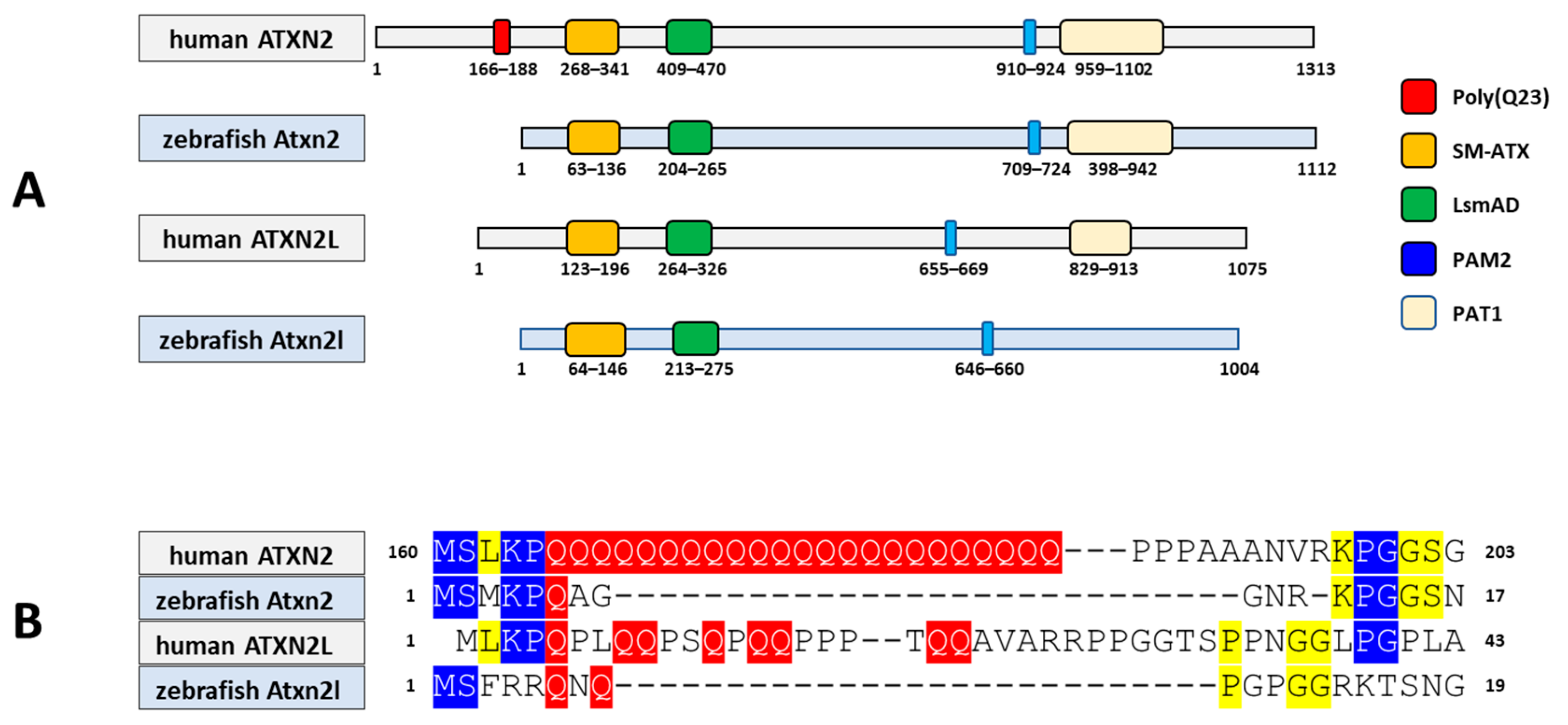 Biomedicines 13 02974 g005