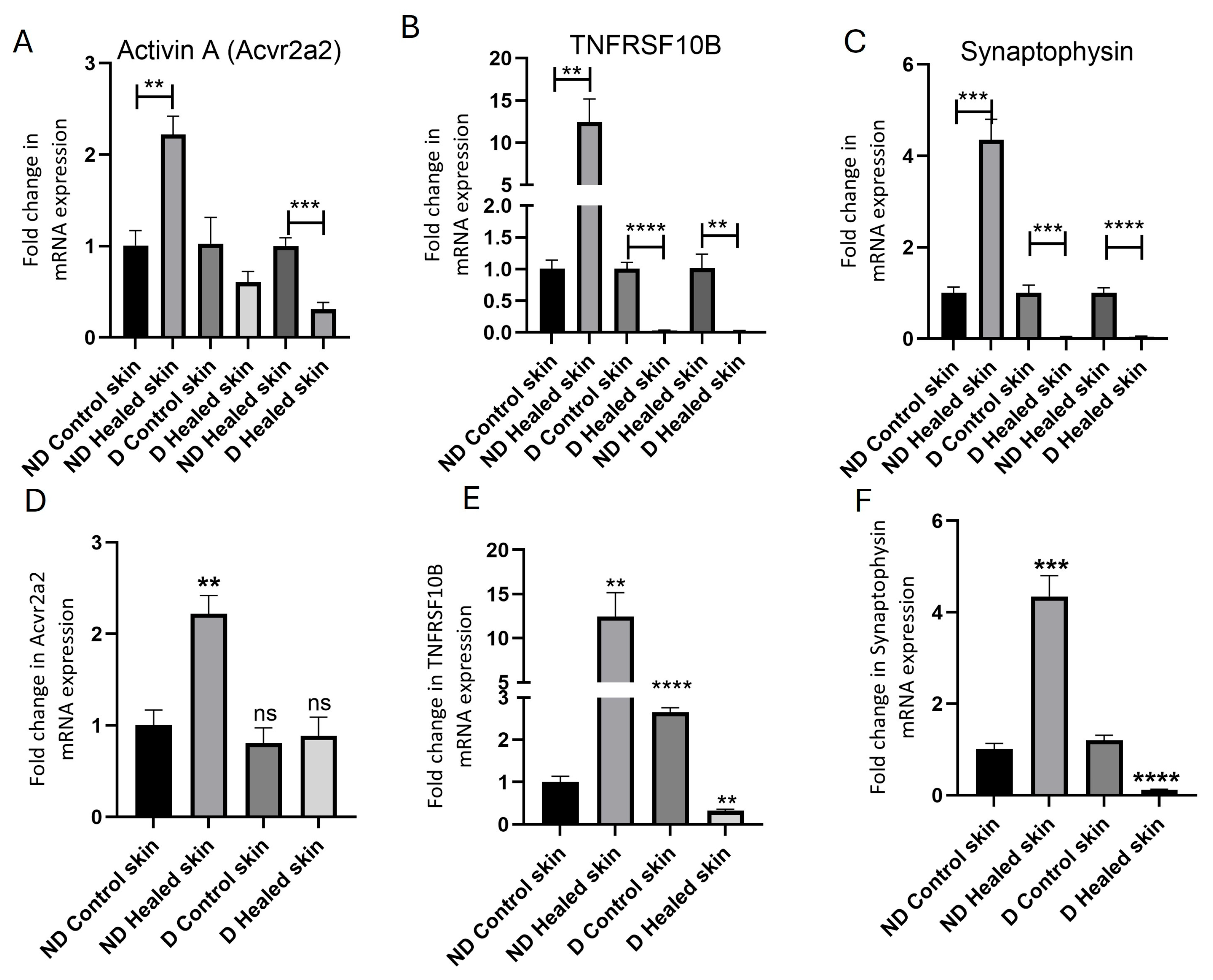 Biomedicines 13 02994 g002
