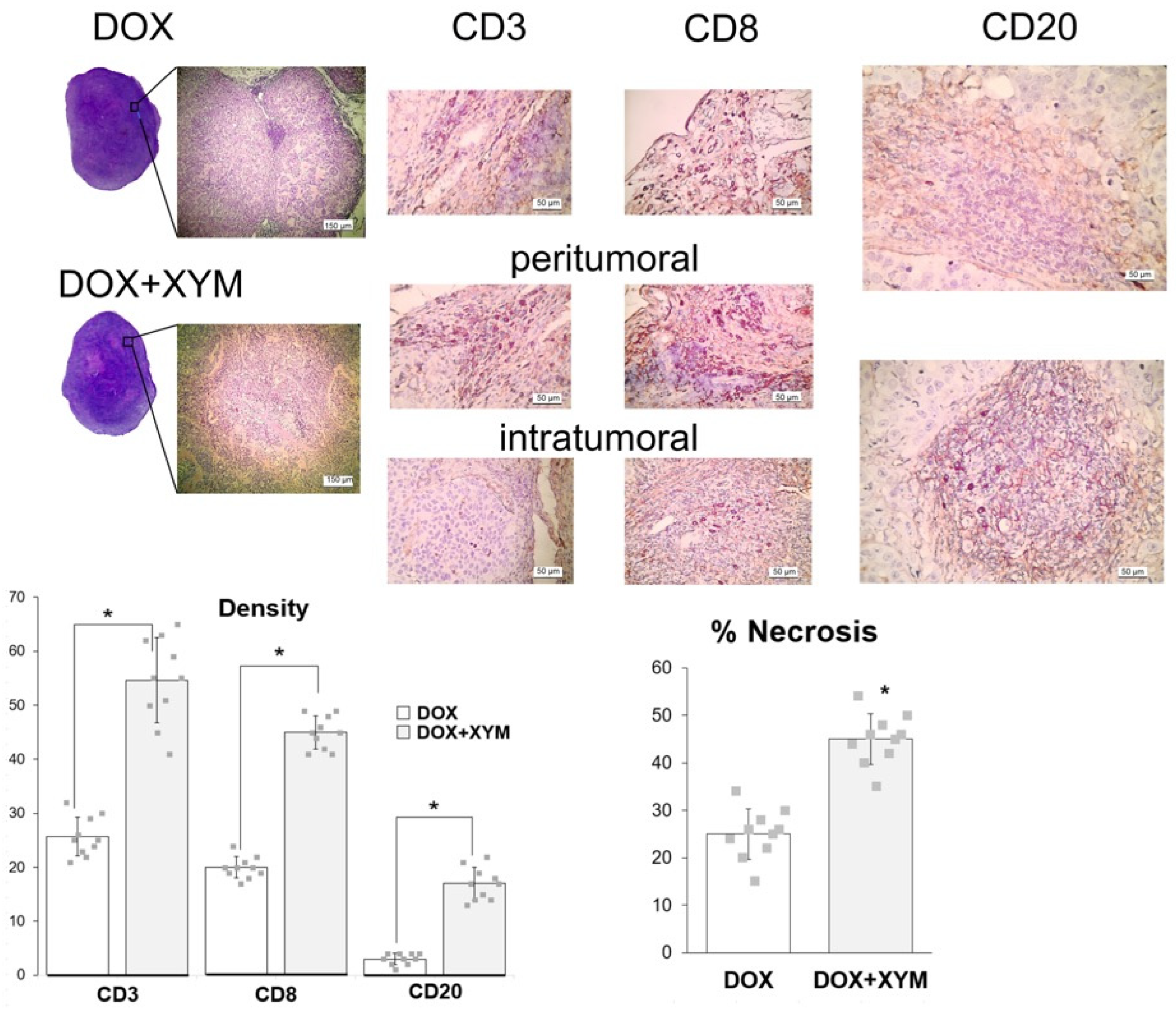 Biomedicines 13 02996 g004