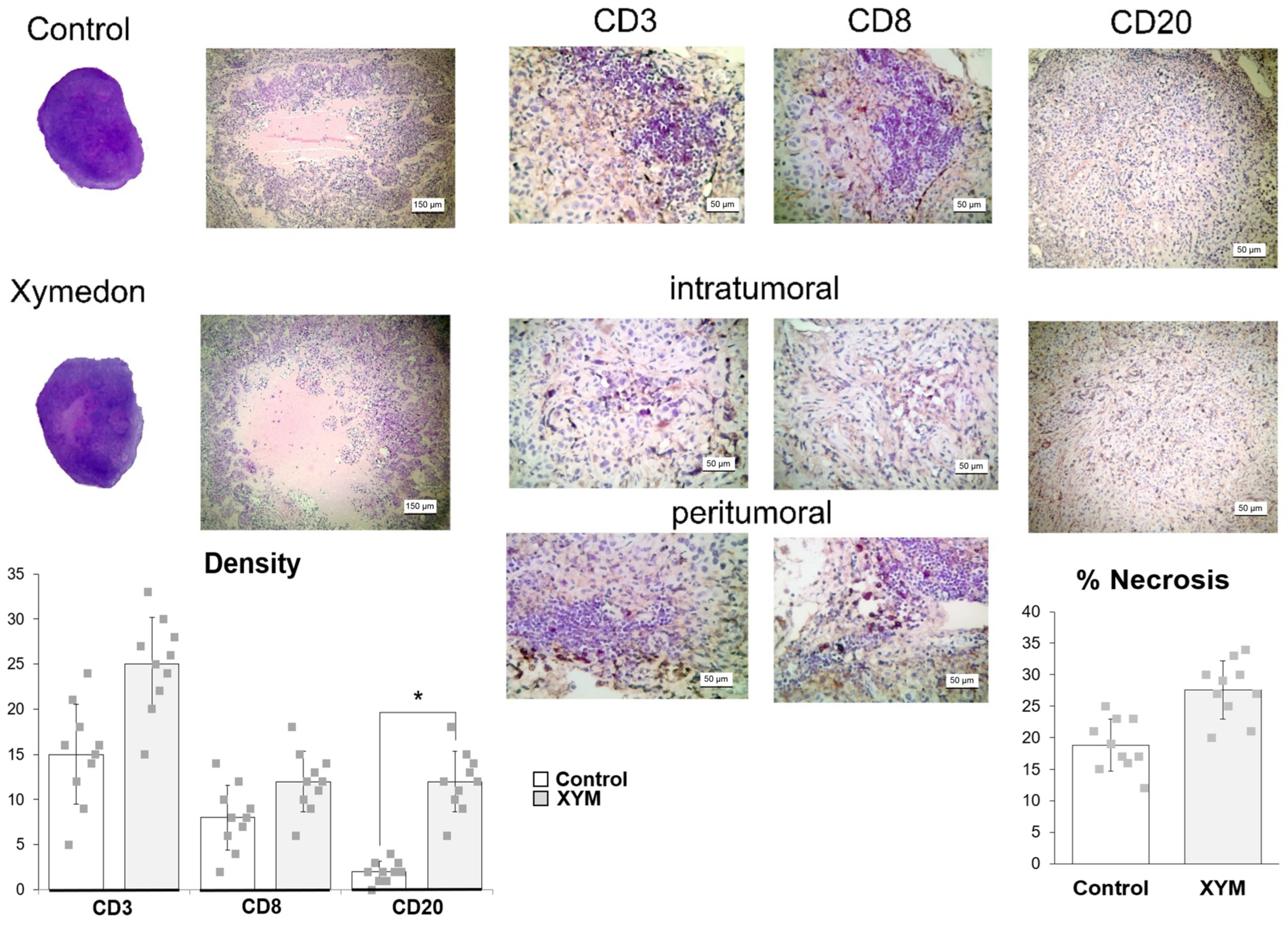 Biomedicines 13 02996 g006