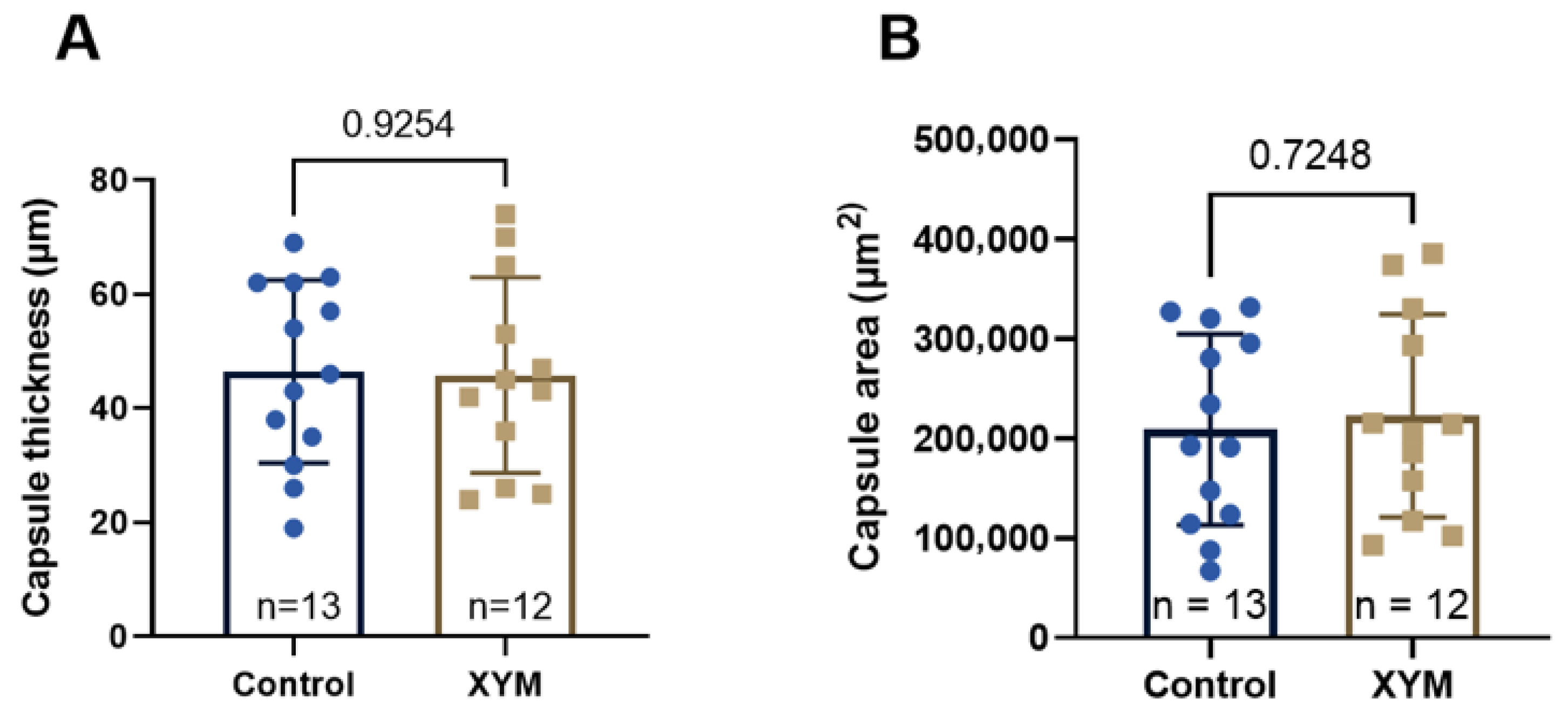 Biomedicines 13 02996 g008