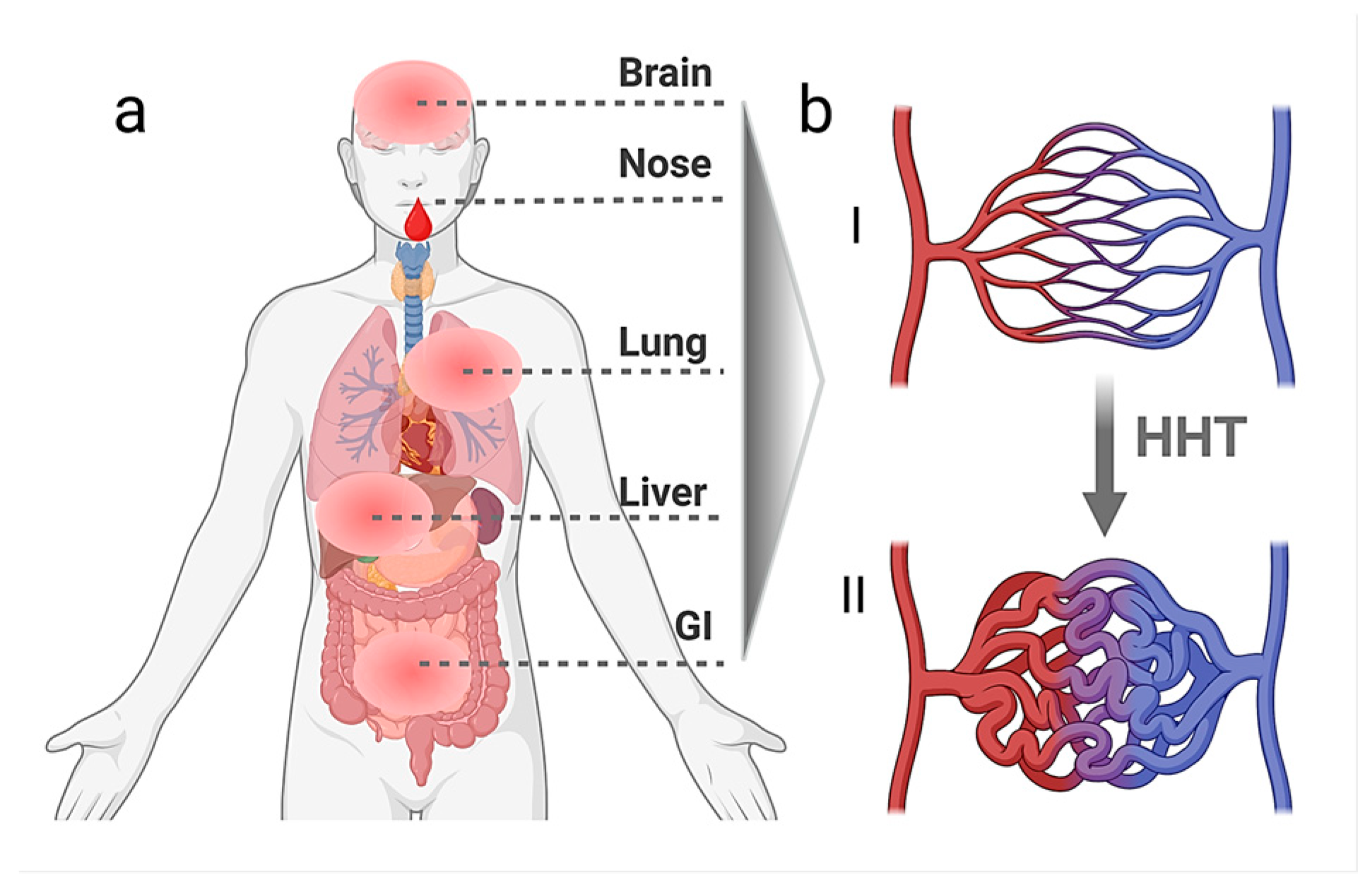 Biomedicines 13 02997 g001