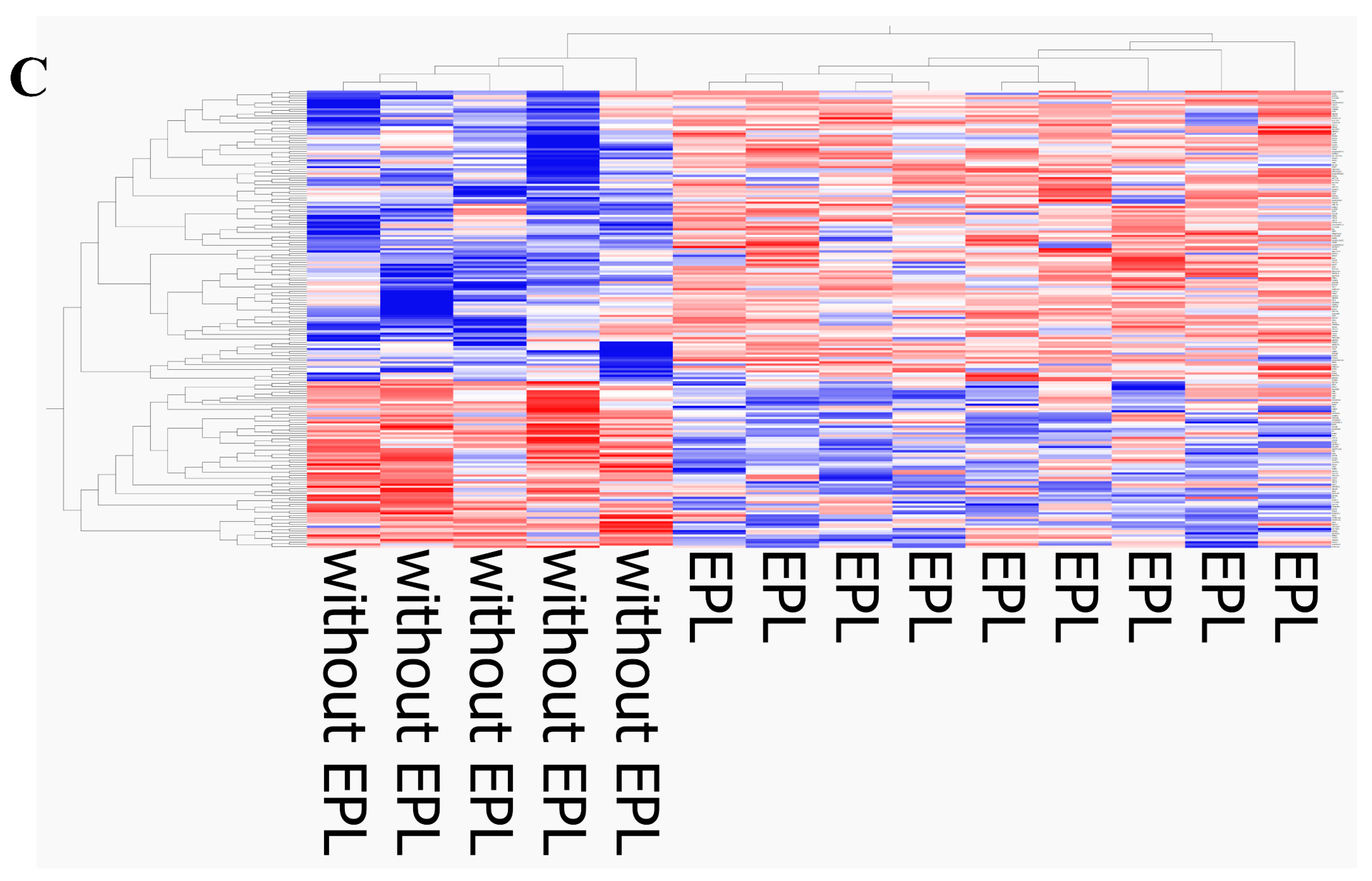 Biomedicines 13 02998 g002b