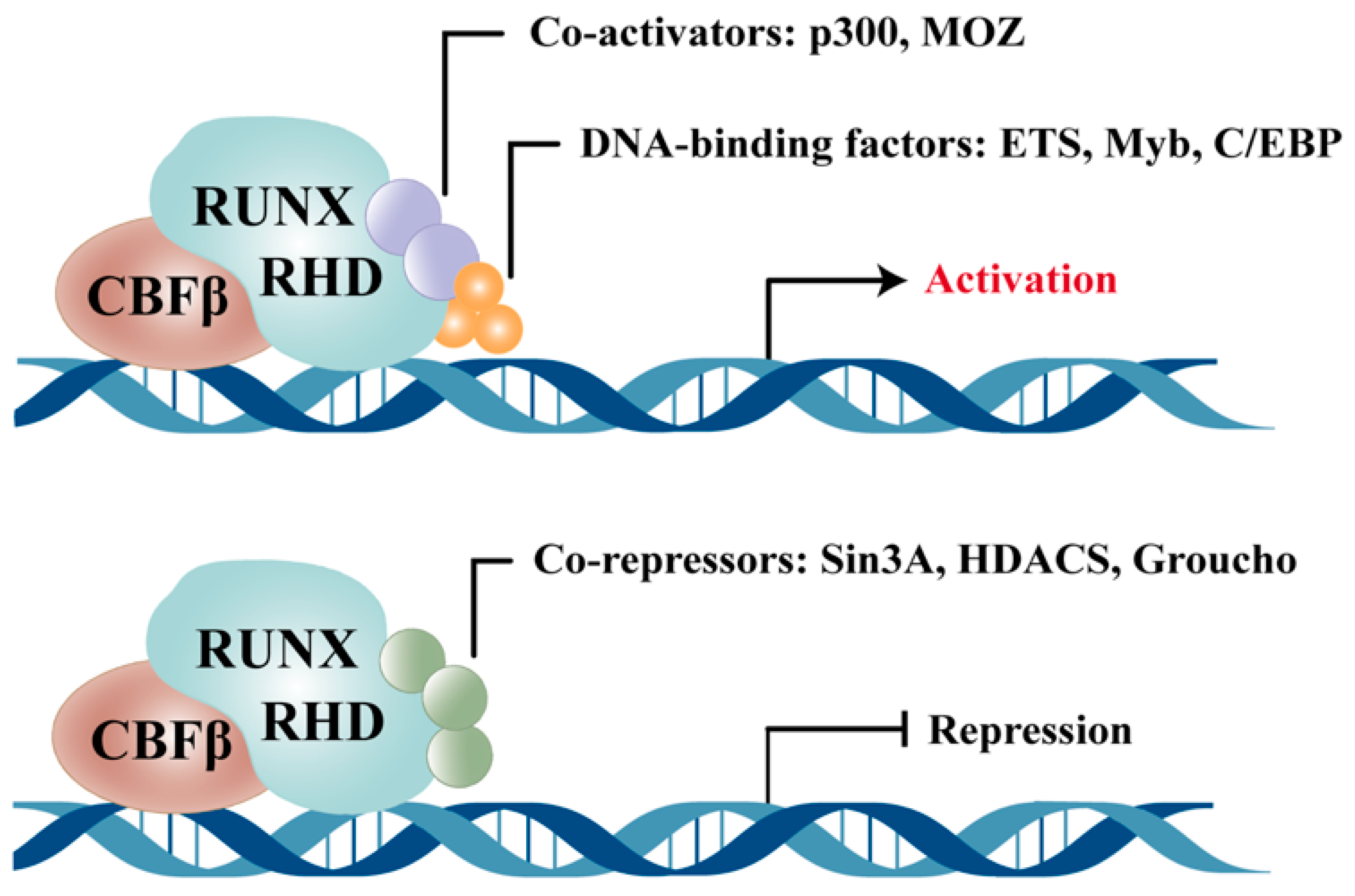 Biomedicines 13 02999 g001 Biomedicines 13 02999 g001