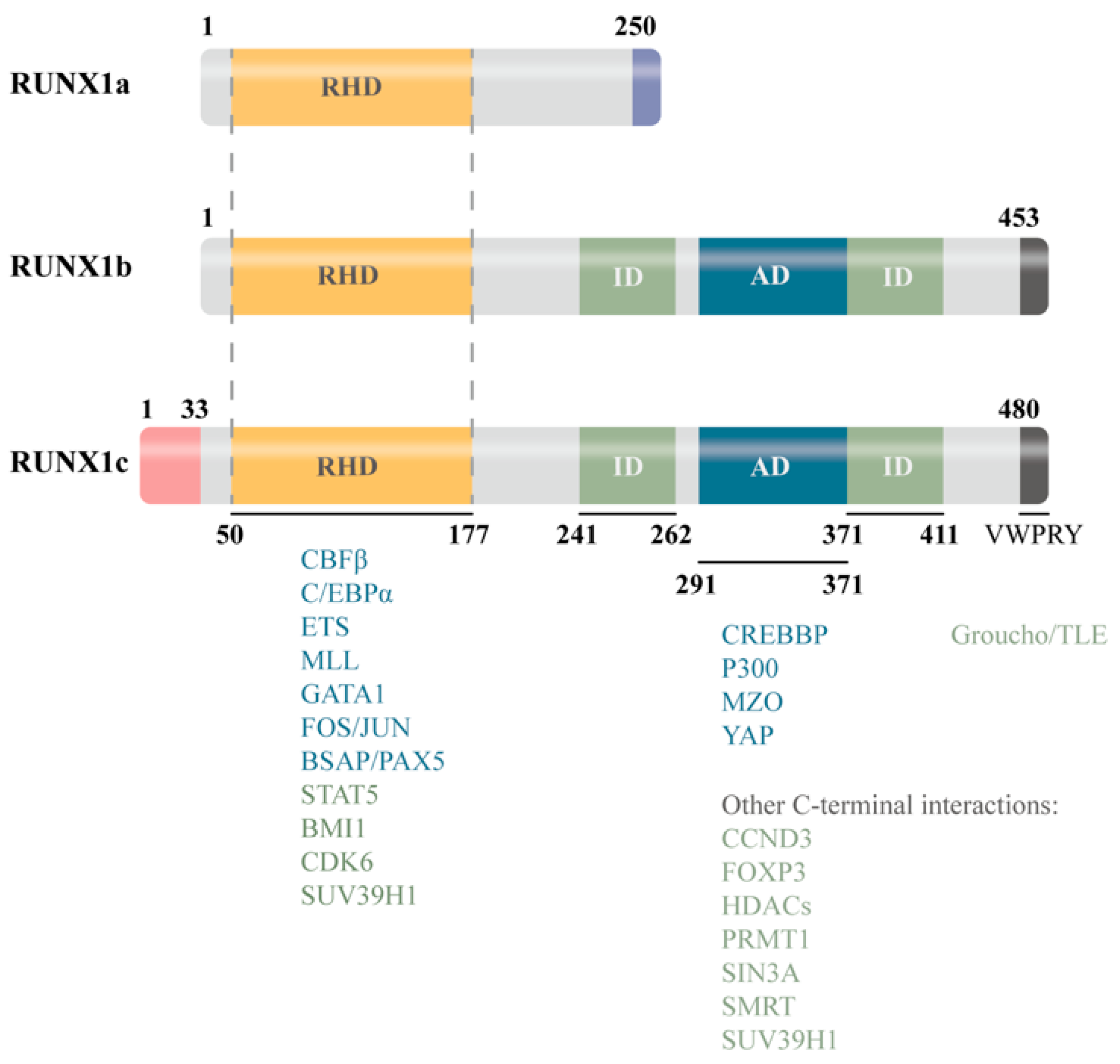 Biomedicines 13 02999 g002 Biomedicines 13 02999 g002