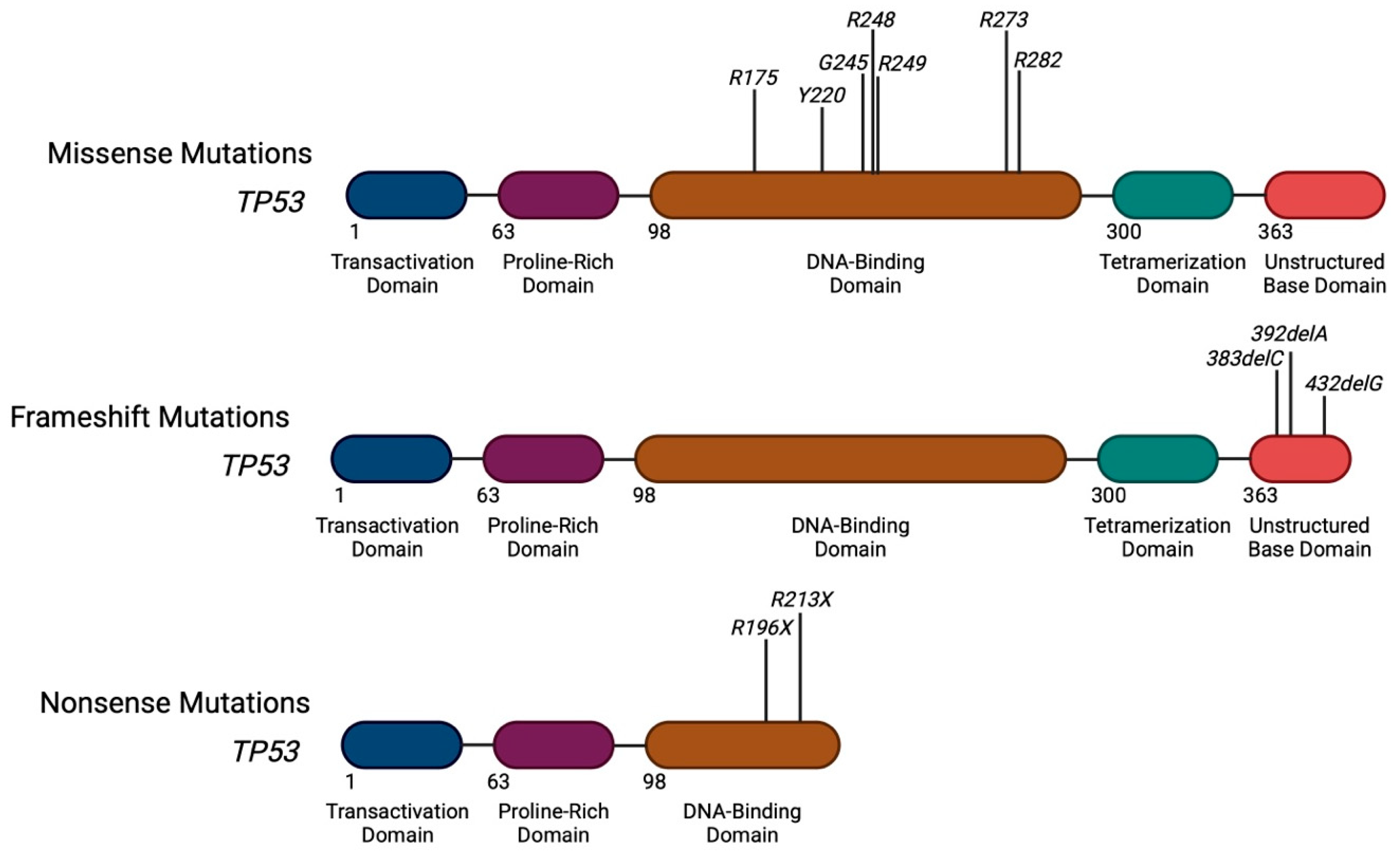 Biomedicines 13 03007 g001
