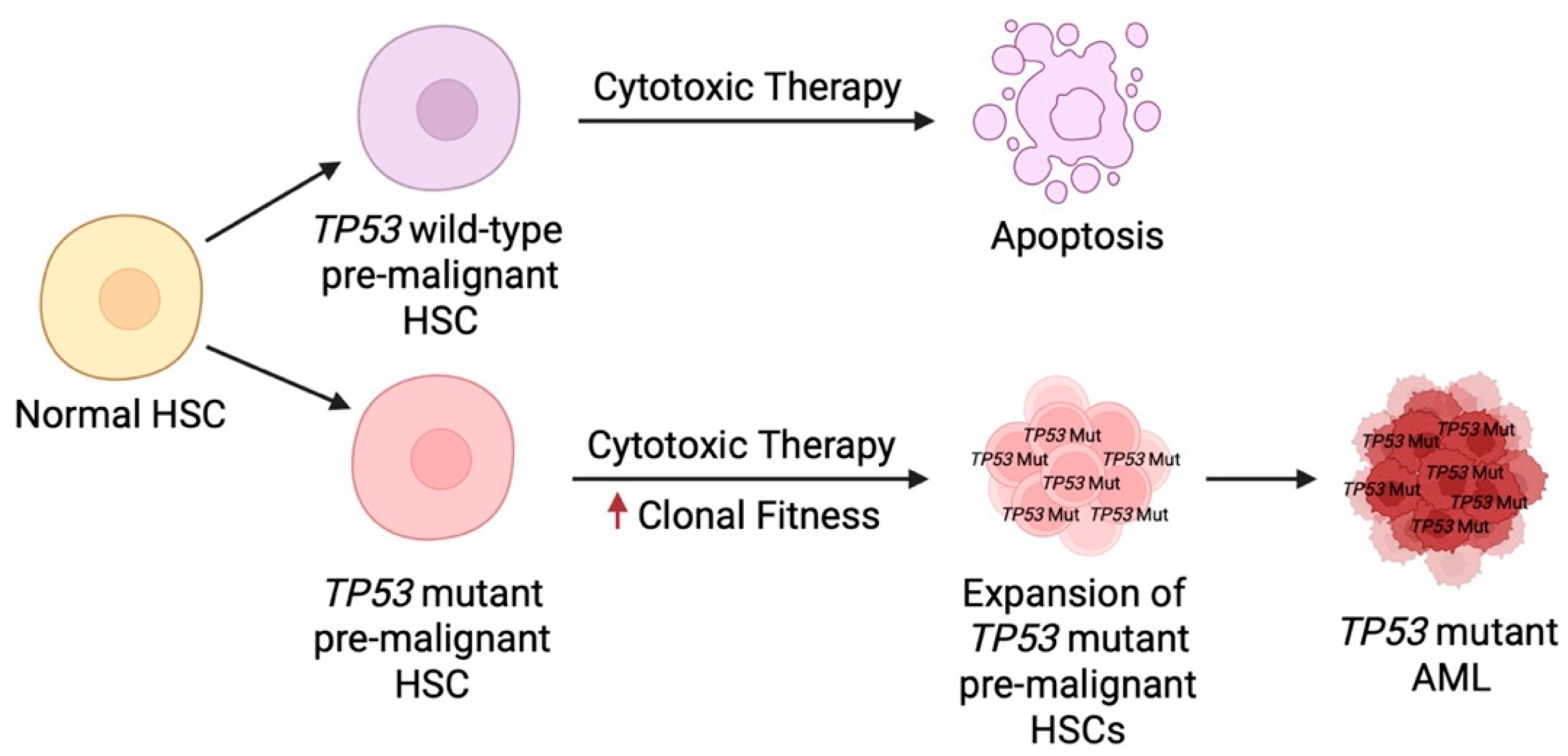 Biomedicines 13 03007 g007