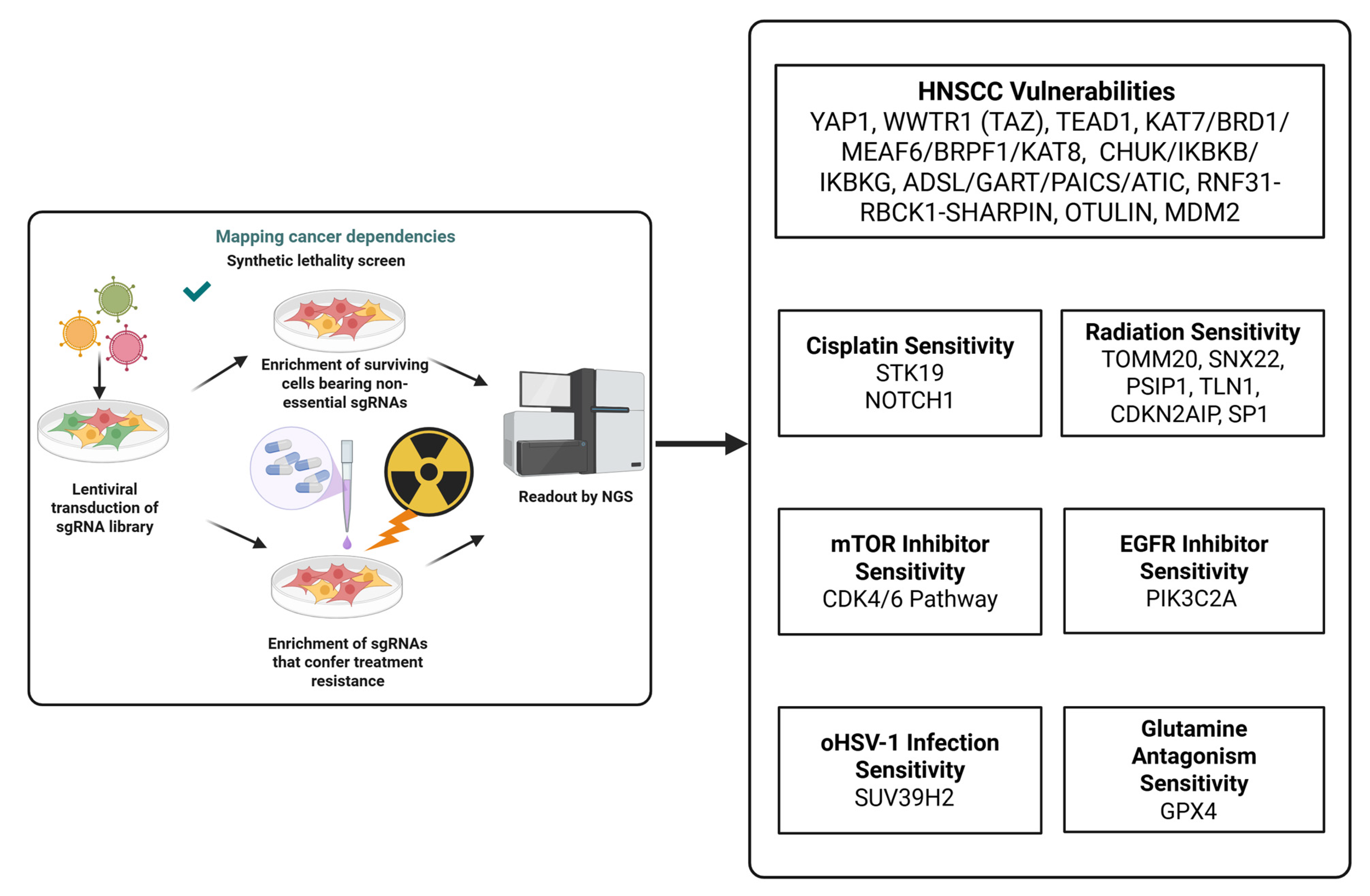 Biomedicines 13 03012 g001 Biomedicines 13 03012 g001
