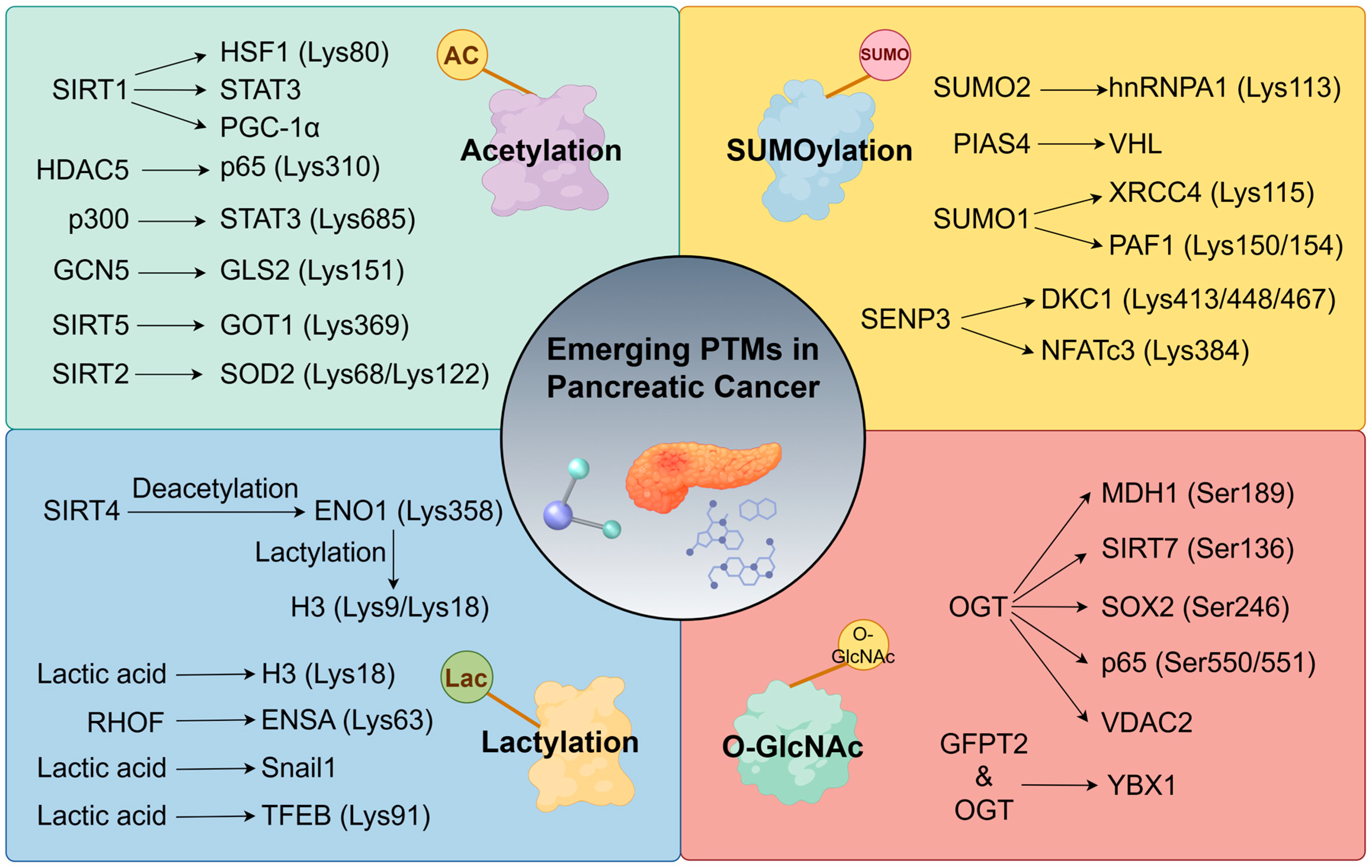Biomedicines 13 03013 g003 Biomedicines 13 03013 g003