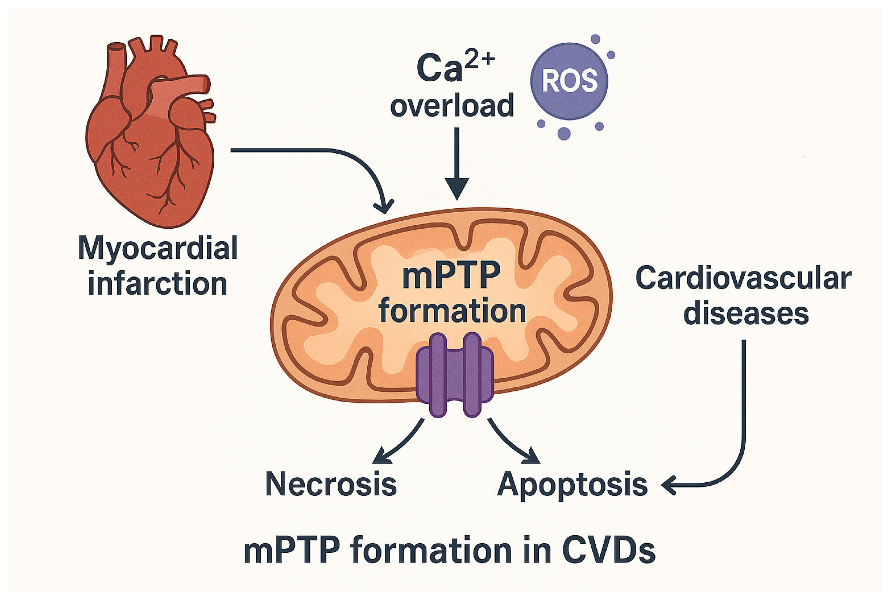 Biomedicines 13 03014 g001 Biomedicines 13 03014 g001