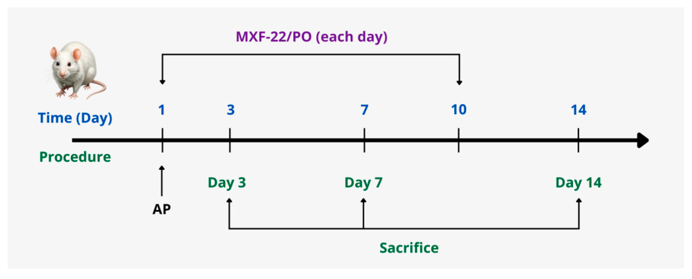 Biomedicines 13 03017 g001 Biomedicines 13 03017 g001