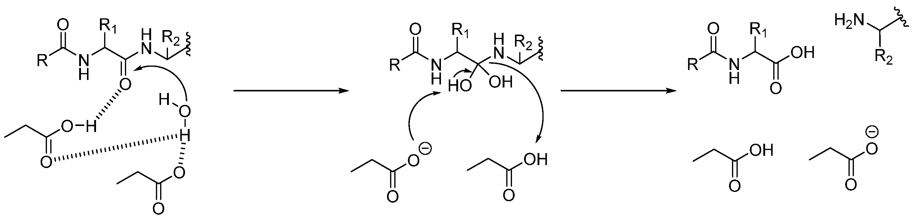 Biomedicines 13 03019 g002 Biomedicines 13 03019 g002