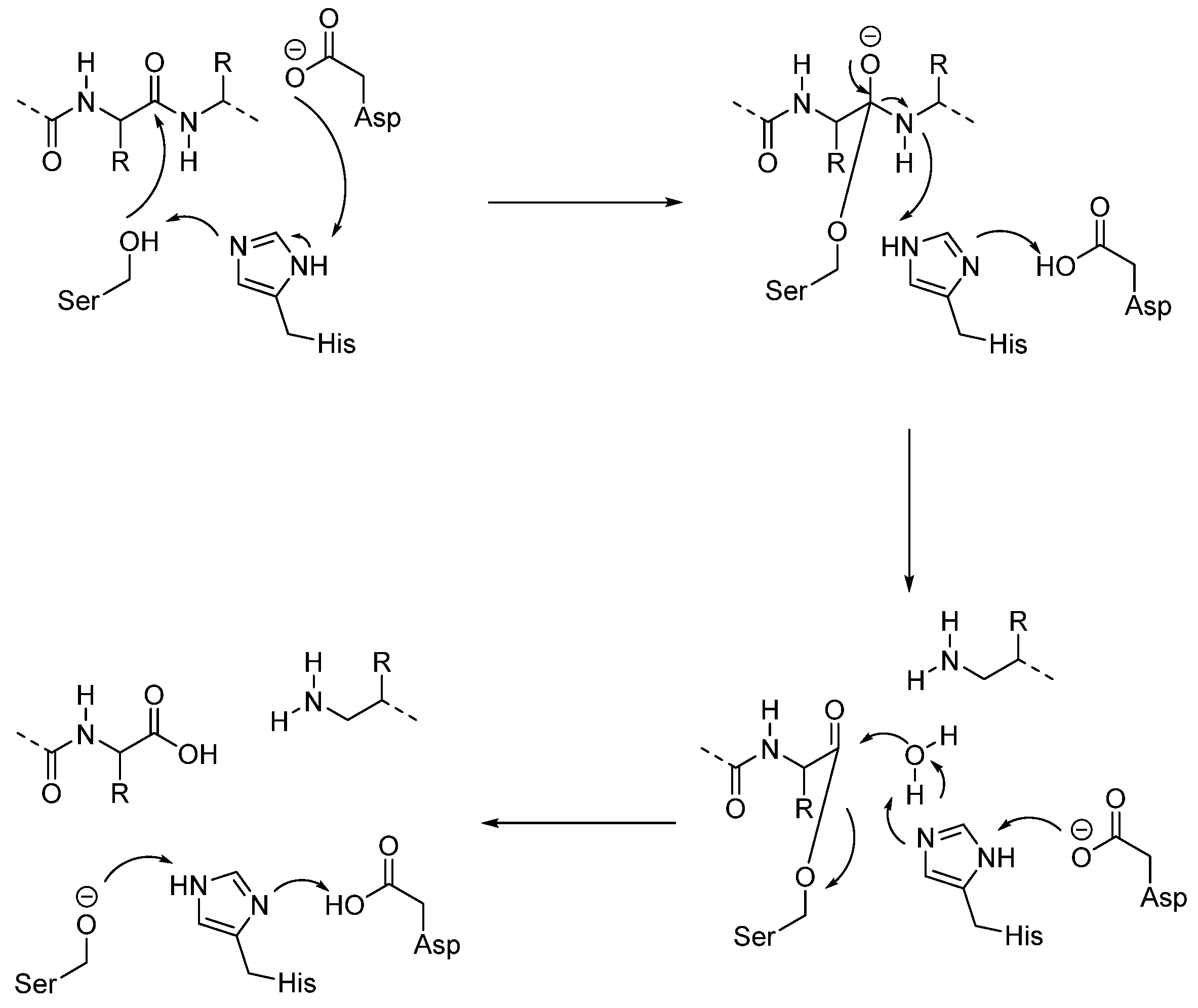 Biomedicines 13 03019 g006 Biomedicines 13 03019 g006