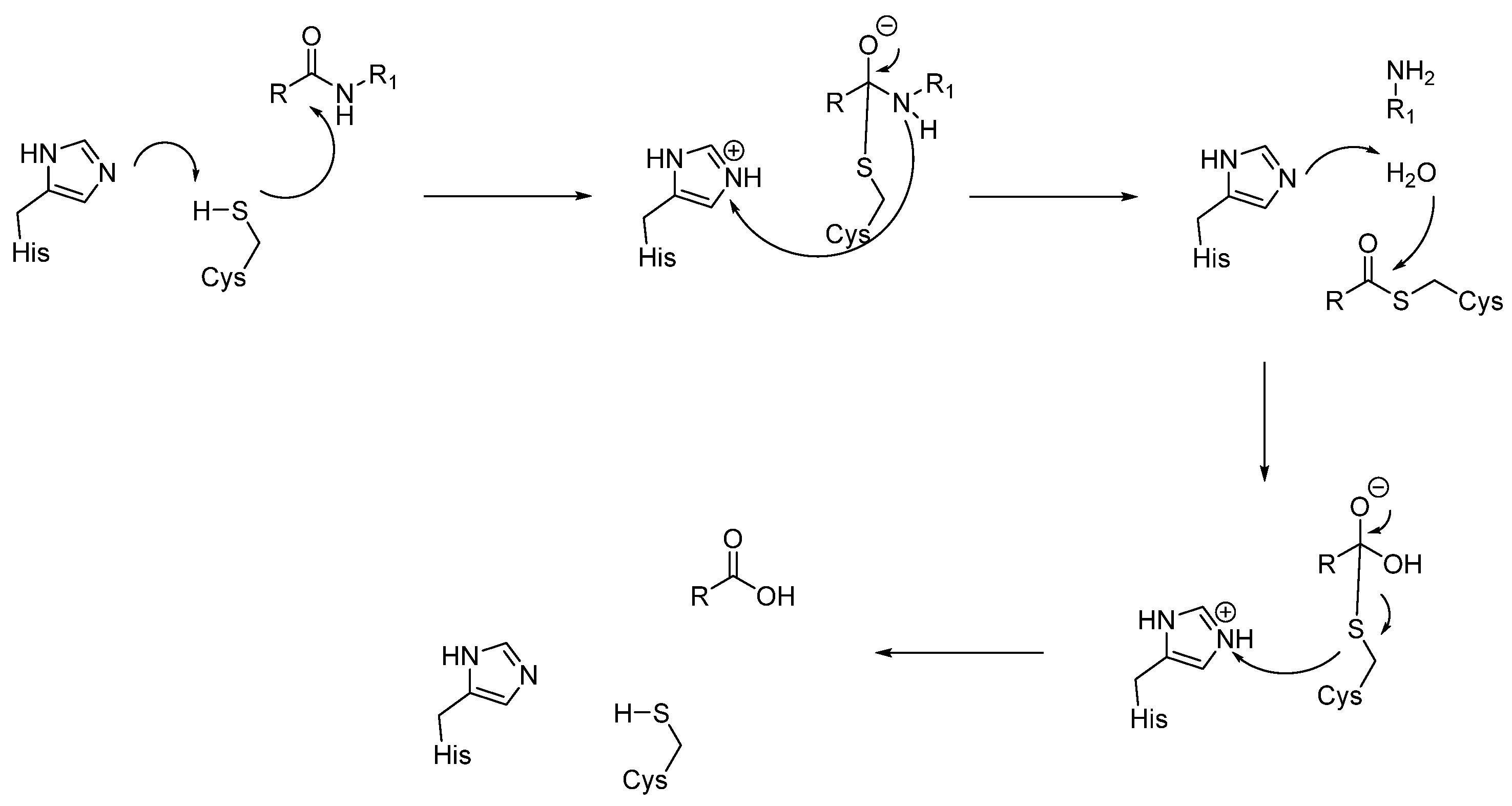 Biomedicines 13 03019 g007 Biomedicines 13 03019 g007