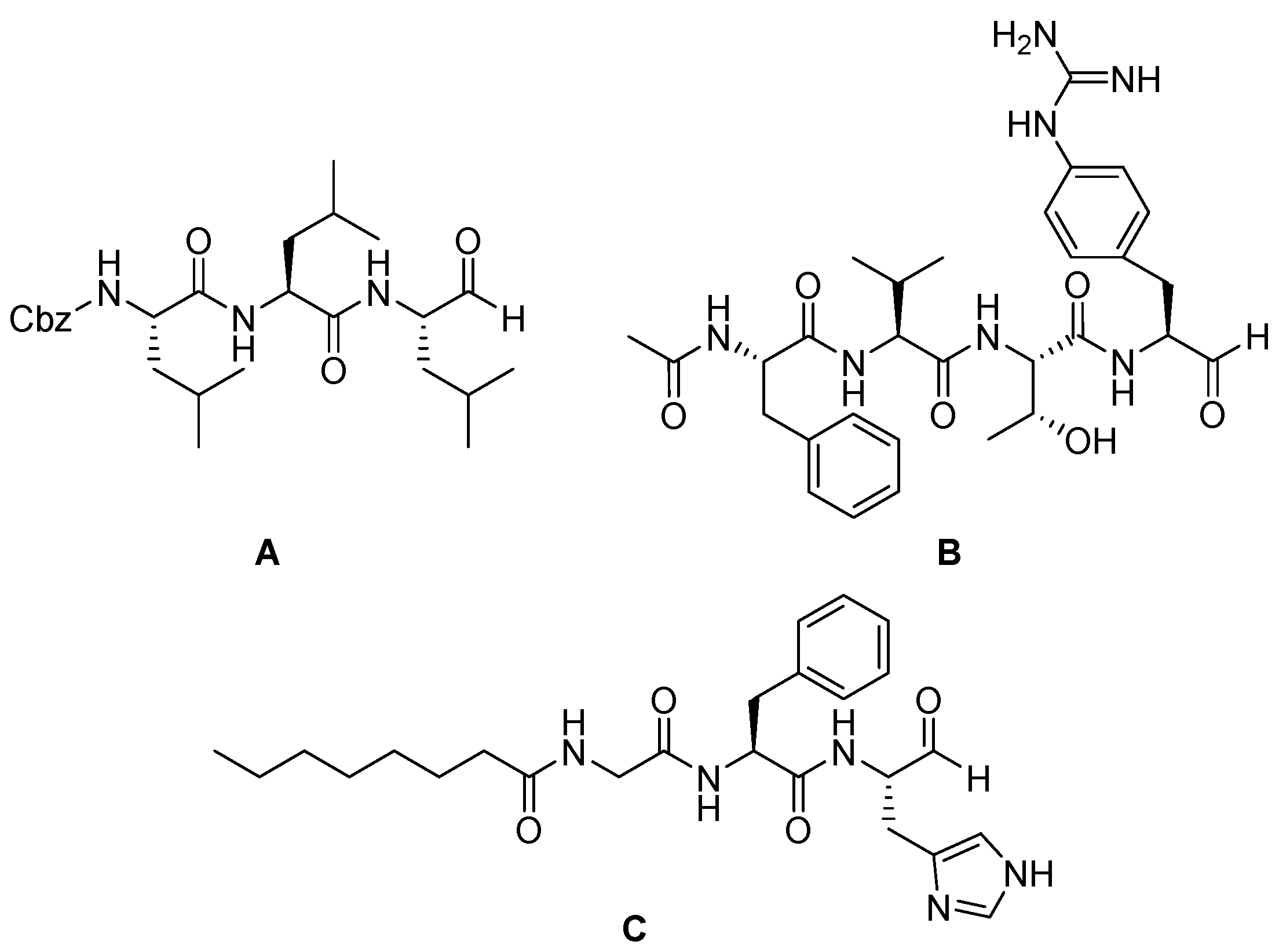 Biomedicines 13 03019 g010 Biomedicines 13 03019 g010