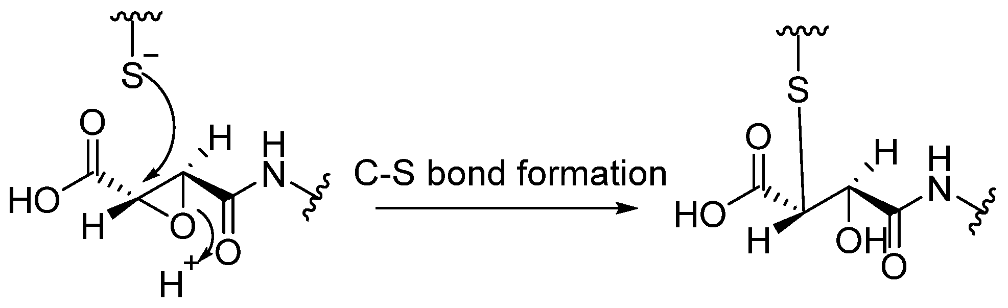 Biomedicines 13 03019 g011 Biomedicines 13 03019 g011