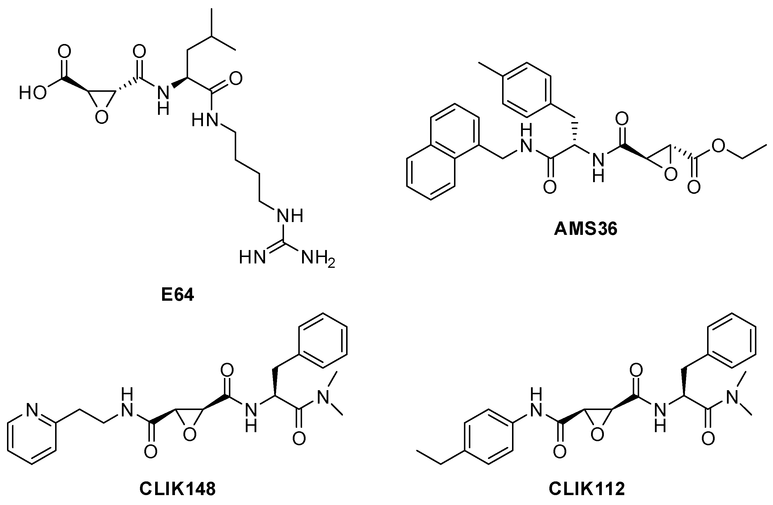 Biomedicines 13 03019 g012 Biomedicines 13 03019 g012