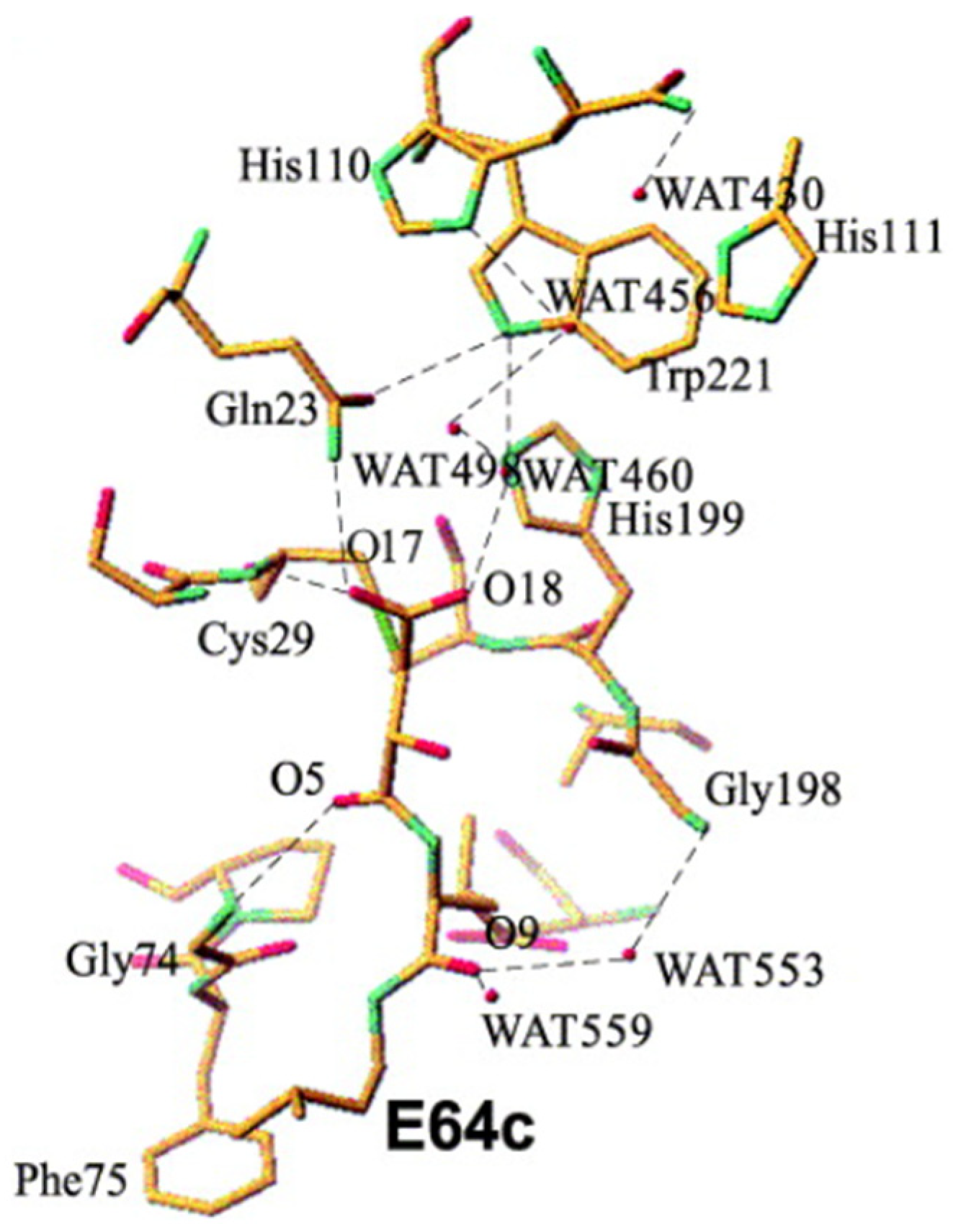 Biomedicines 13 03019 g013 Biomedicines 13 03019 g013