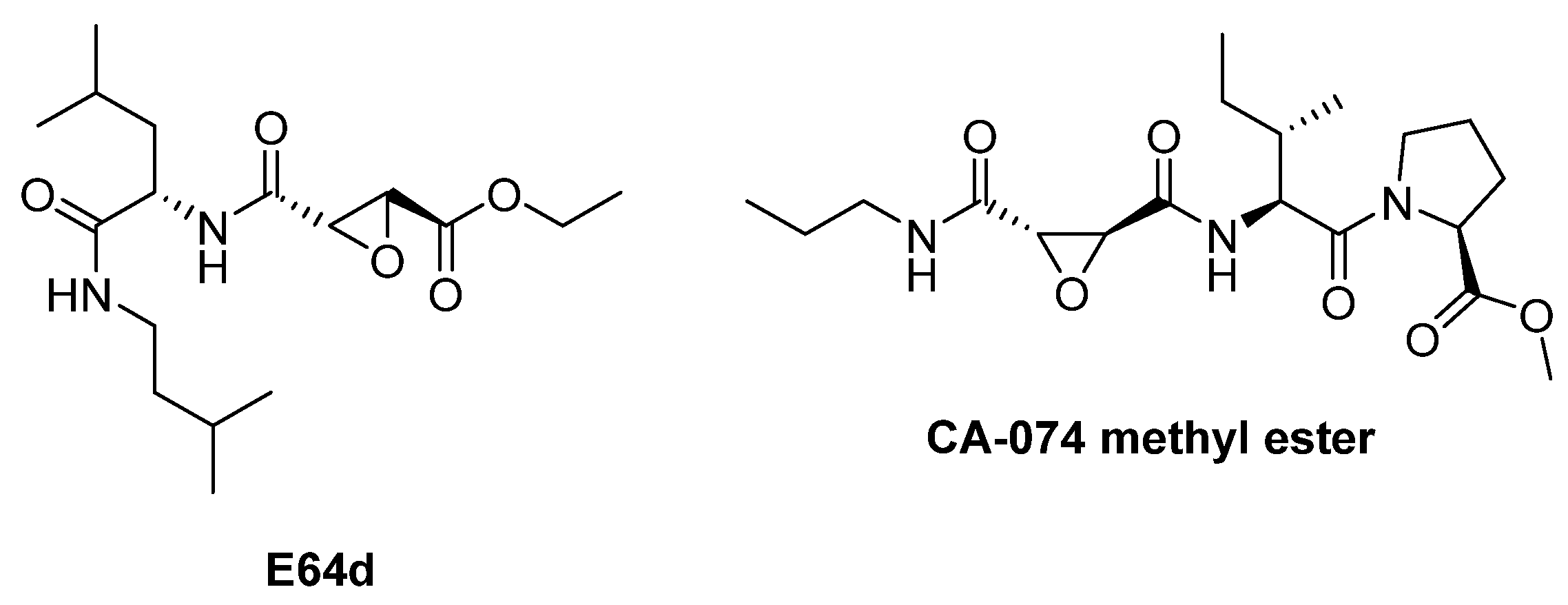 Biomedicines 13 03019 g014 Biomedicines 13 03019 g014