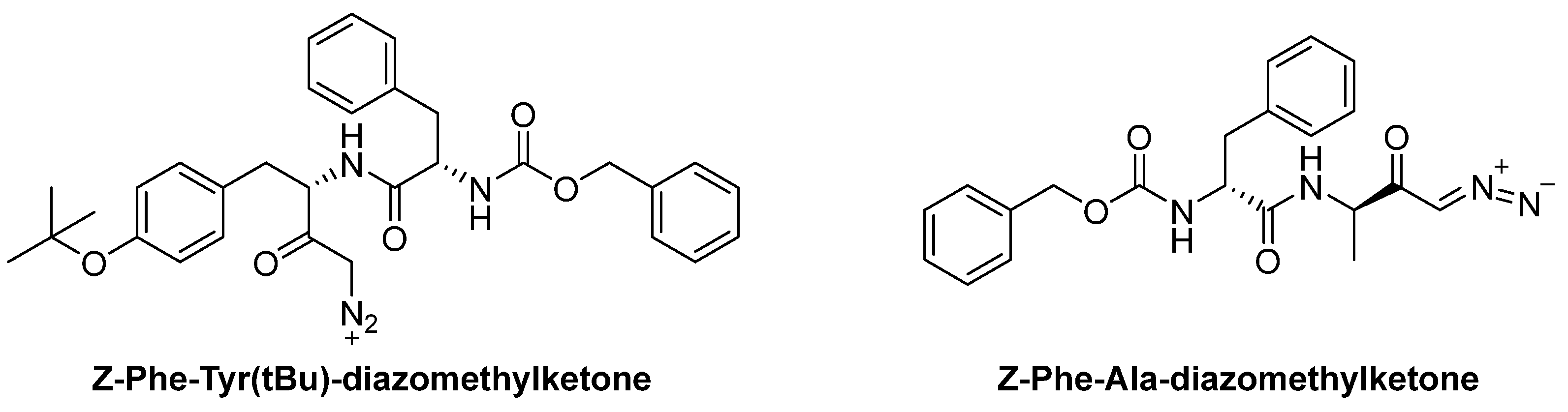 Biomedicines 13 03019 g015 Biomedicines 13 03019 g015