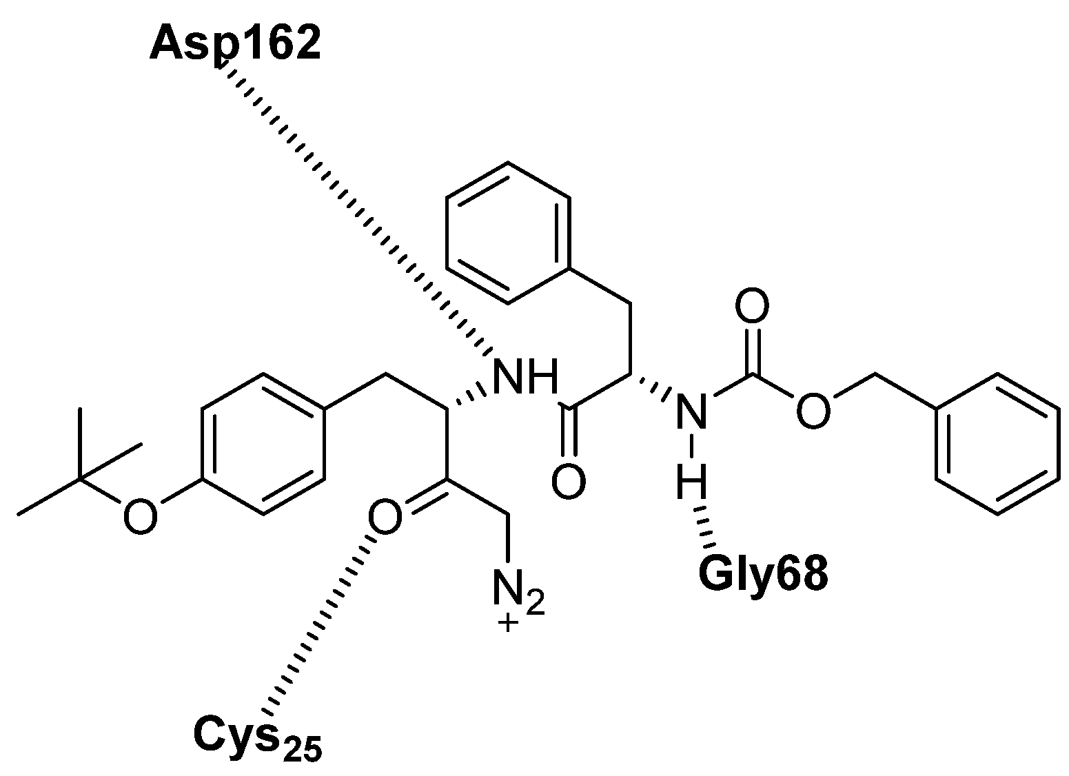 Biomedicines 13 03019 g016 Biomedicines 13 03019 g016
