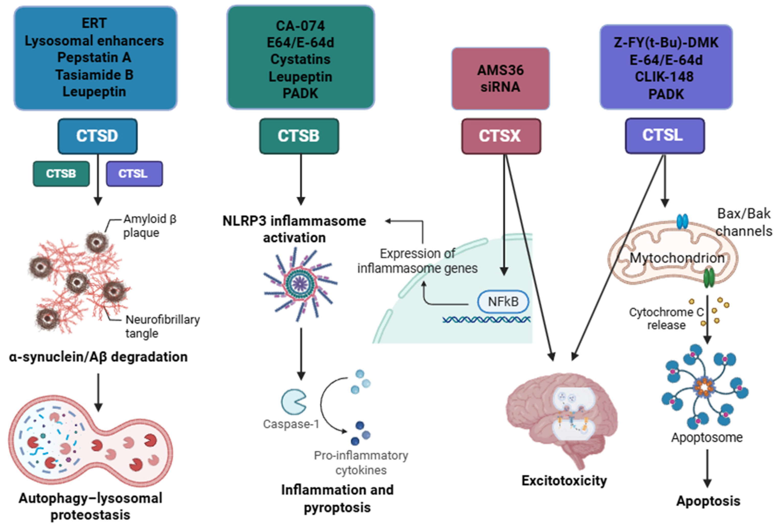 Biomedicines 13 03019 g019 Biomedicines 13 03019 g019